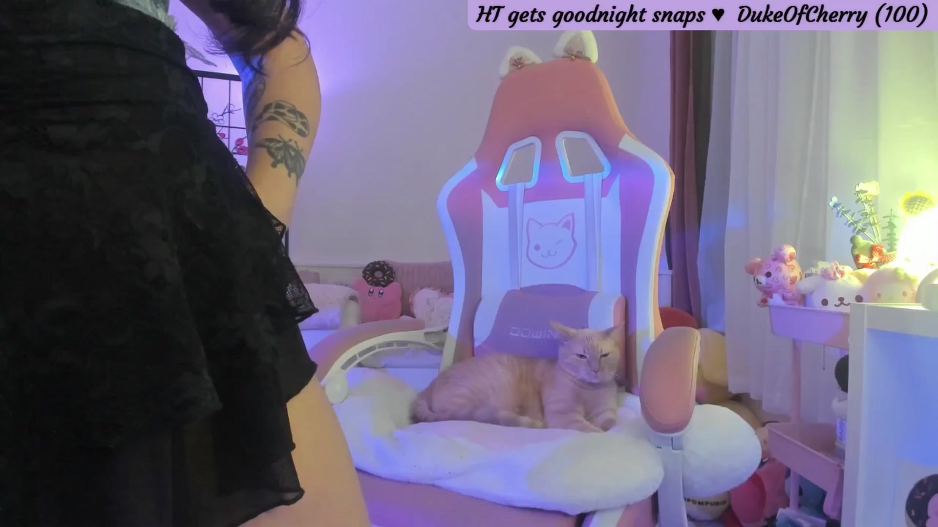 Gallery image thumbnail from CherryMace's myfreecams stream on, 09/23/2025, 06:13 image 9 of 20