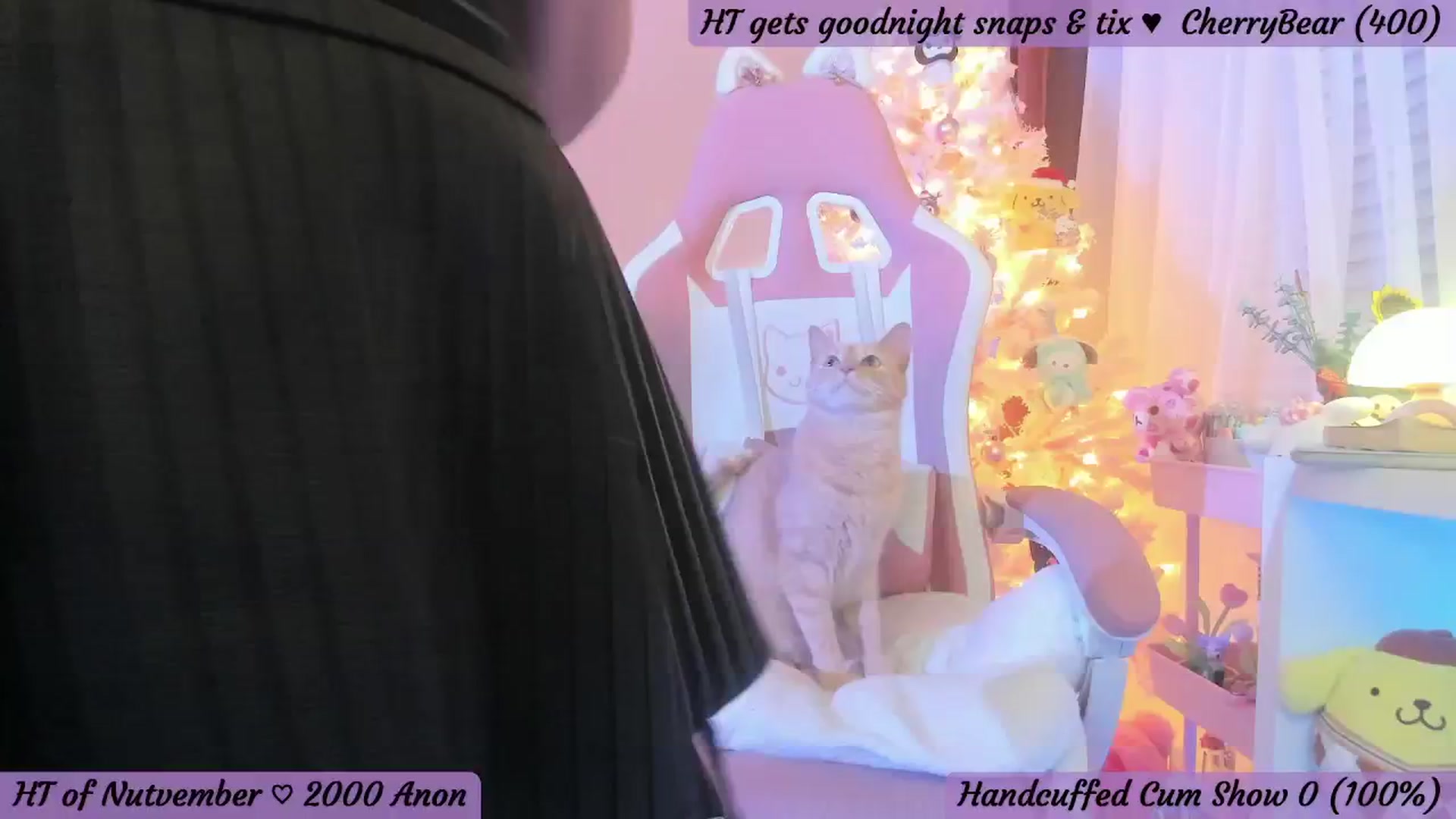 Gallery image thumbnail from CherryMace's myfreecams stream on, 11/22/2025, 05:09 image 6 of 20
