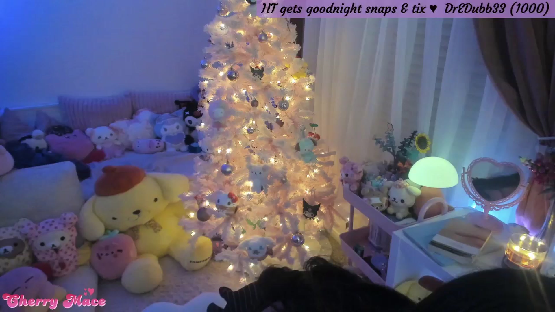 Gallery image thumbnail from CherryMace's myfreecams stream on, 12/30/2025, 06:55 image 10 of 20