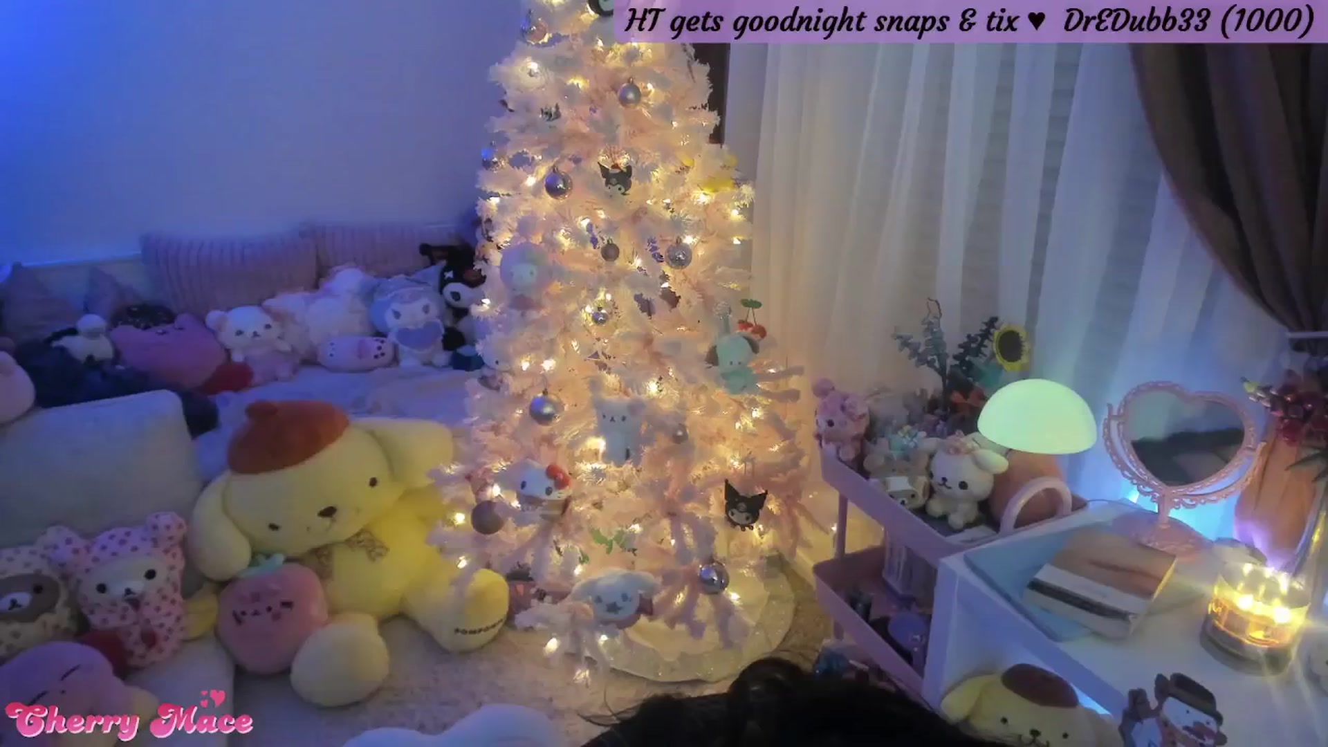 Gallery image thumbnail from CherryMace's myfreecams stream on, 12/30/2025, 06:55 image 14 of 20
