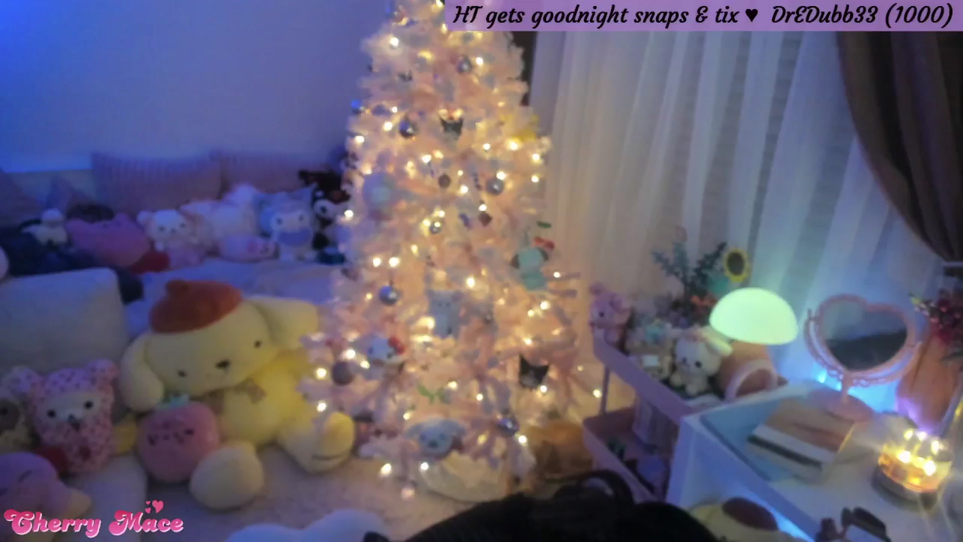 Gallery image thumbnail from CherryMace's myfreecams stream on, 12/30/2025, 06:55 image 16 of 20