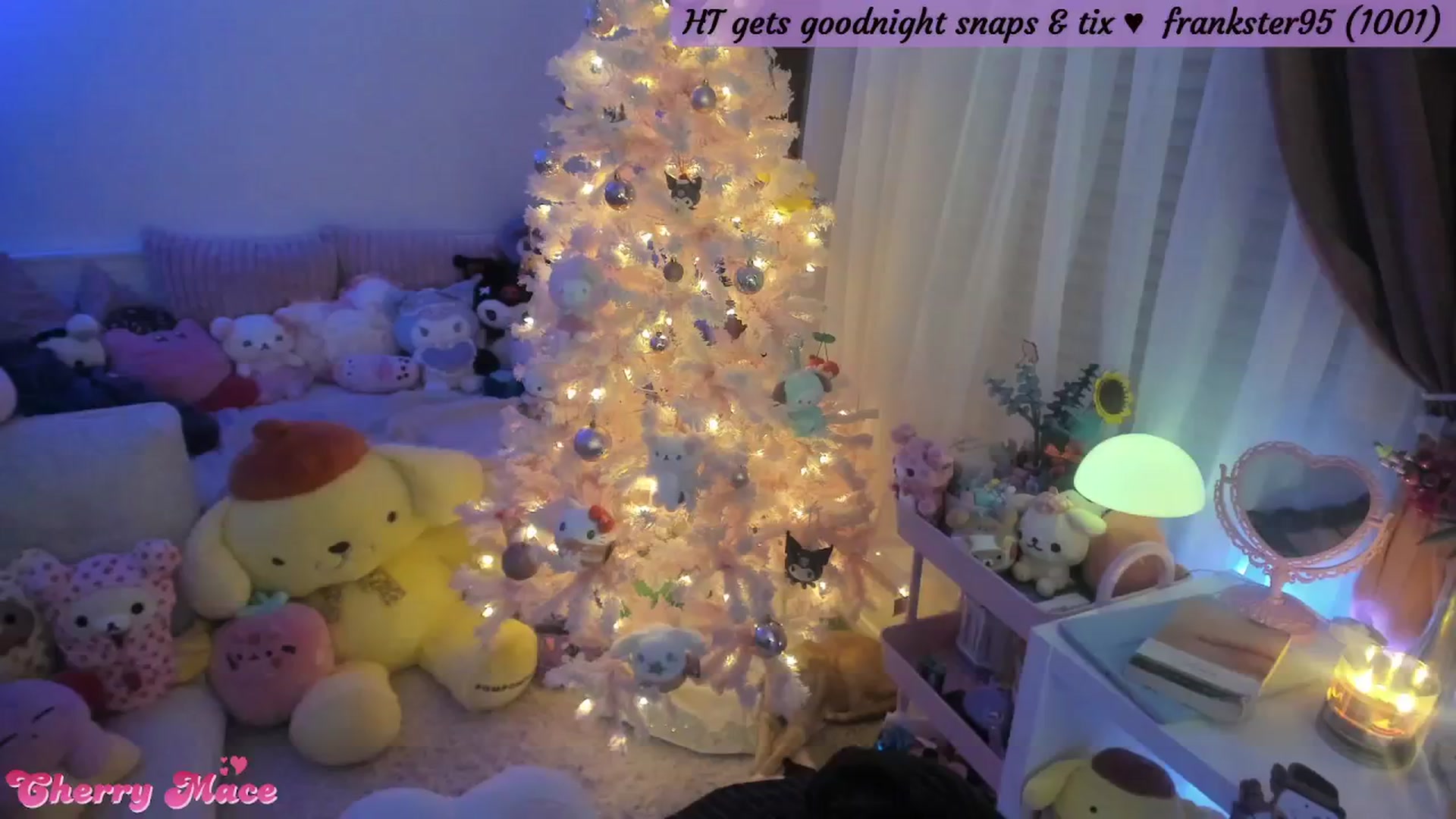 Gallery image thumbnail from CherryMace's myfreecams stream on, 12/30/2025, 06:55 image 17 of 20