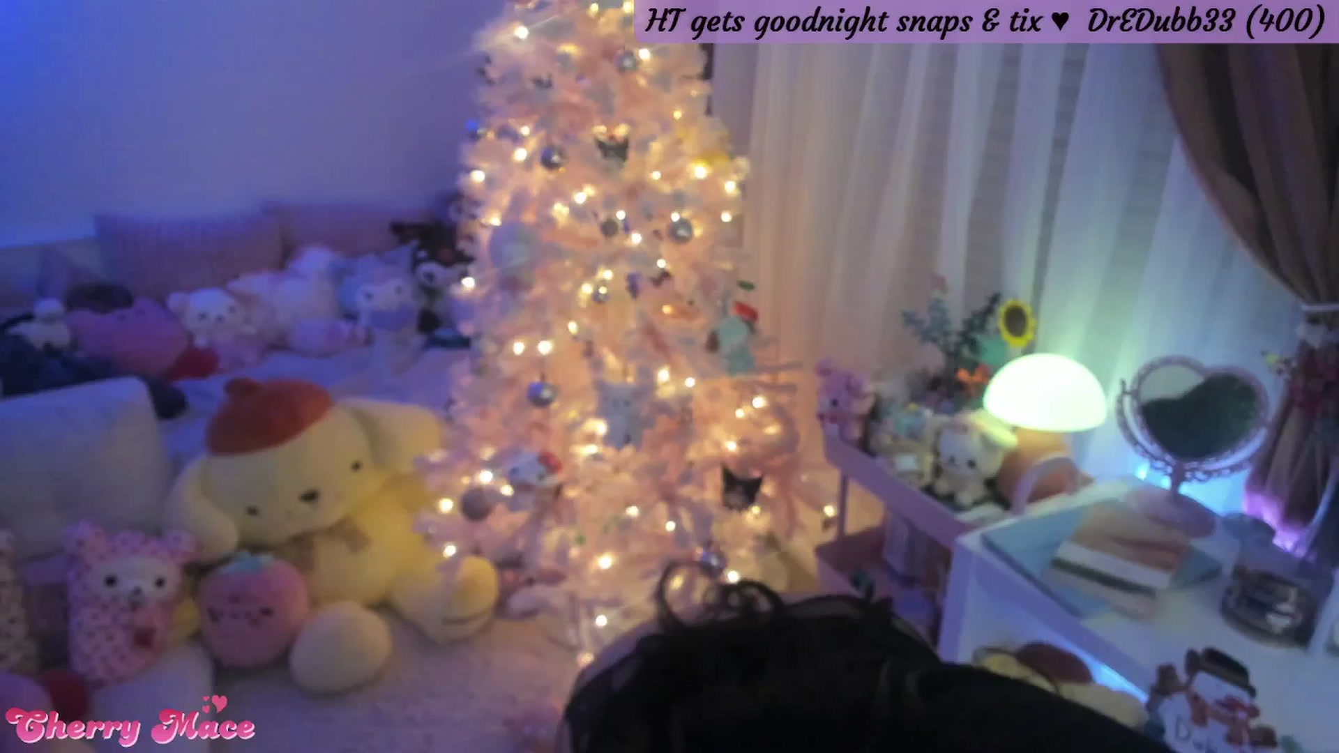 Gallery image thumbnail from CherryMace's myfreecams stream on, 12/31/2025, 06:51 image 11 of 20