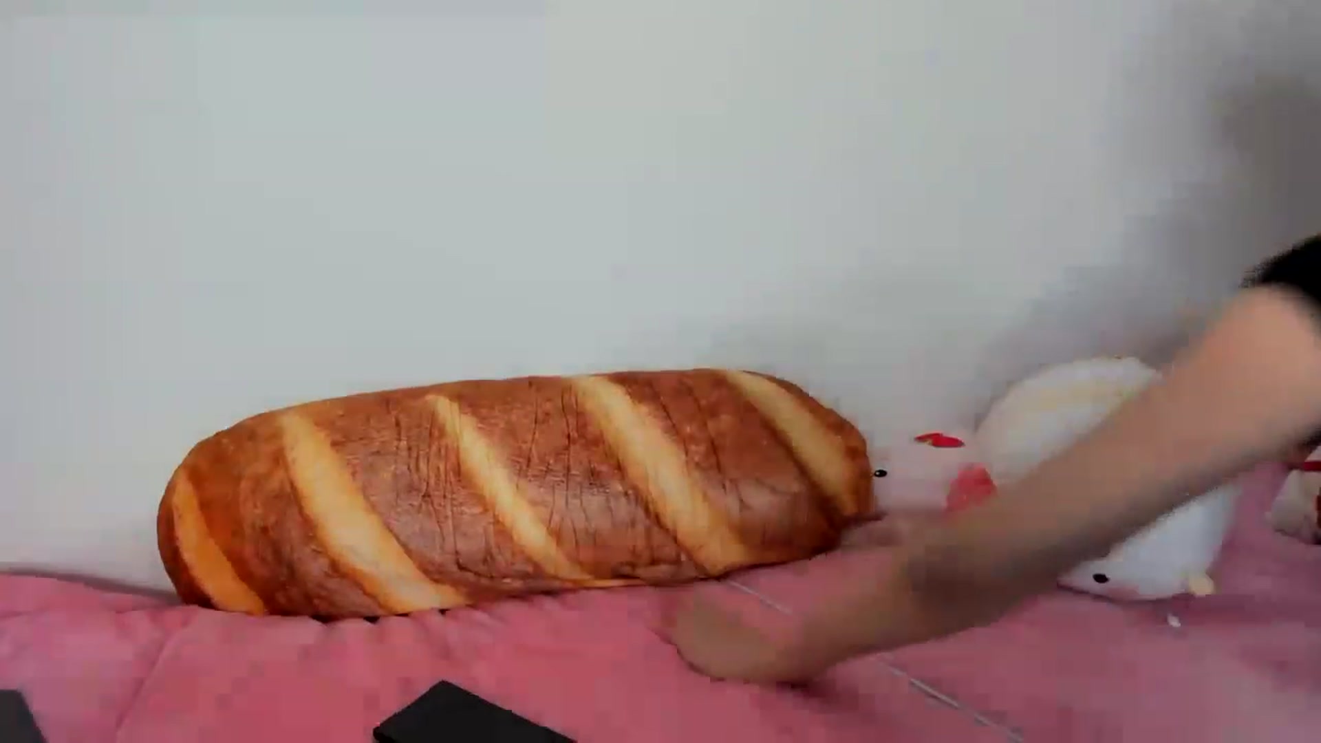 Gallery image thumbnail from Cherrycute666's myfreecams stream on, 02/02/2023, 08:45 image 15 of 20