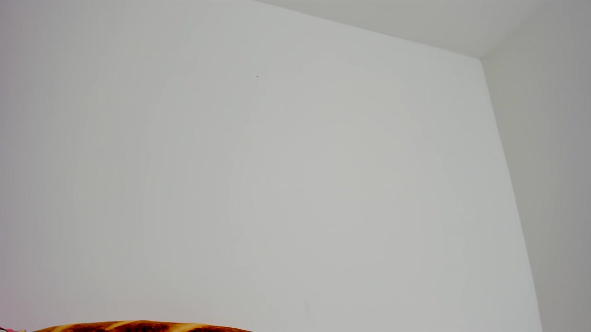 Gallery image thumbnail from Cherrycute666's myfreecams stream on, 11/09/2023, 05:17 image 12 of 20