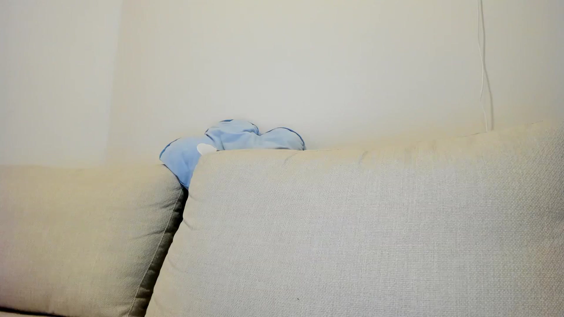 Gallery image thumbnail from Cherrycute666's myfreecams stream on, 03/10/2024, 09:17 image 7 of 20