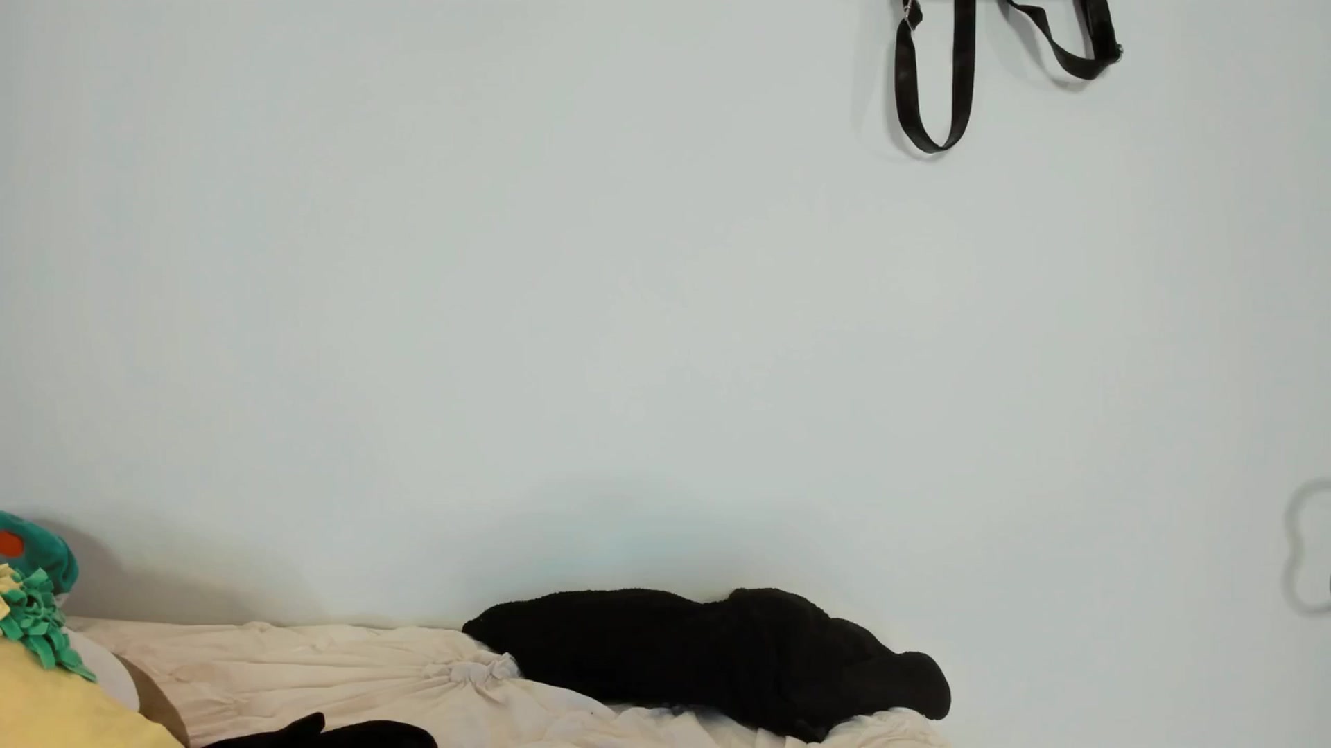Gallery image thumbnail from Cherrycute666's myfreecams stream on, 03/15/2025, 13:01 image 13 of 20