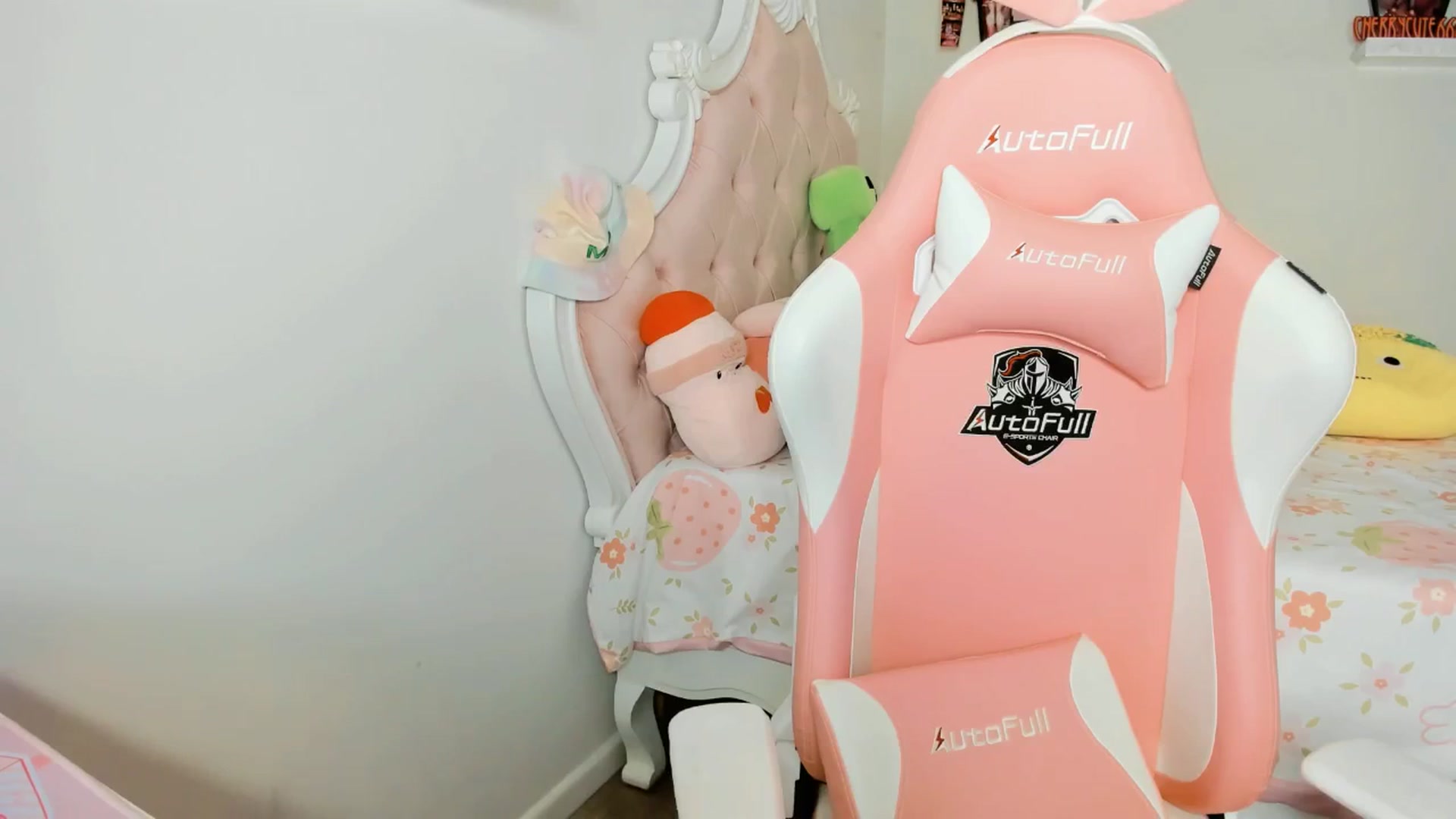 Gallery image thumbnail from Cherrycute666's myfreecams stream on, 09/26/2025, 05:42 image 15 of 20