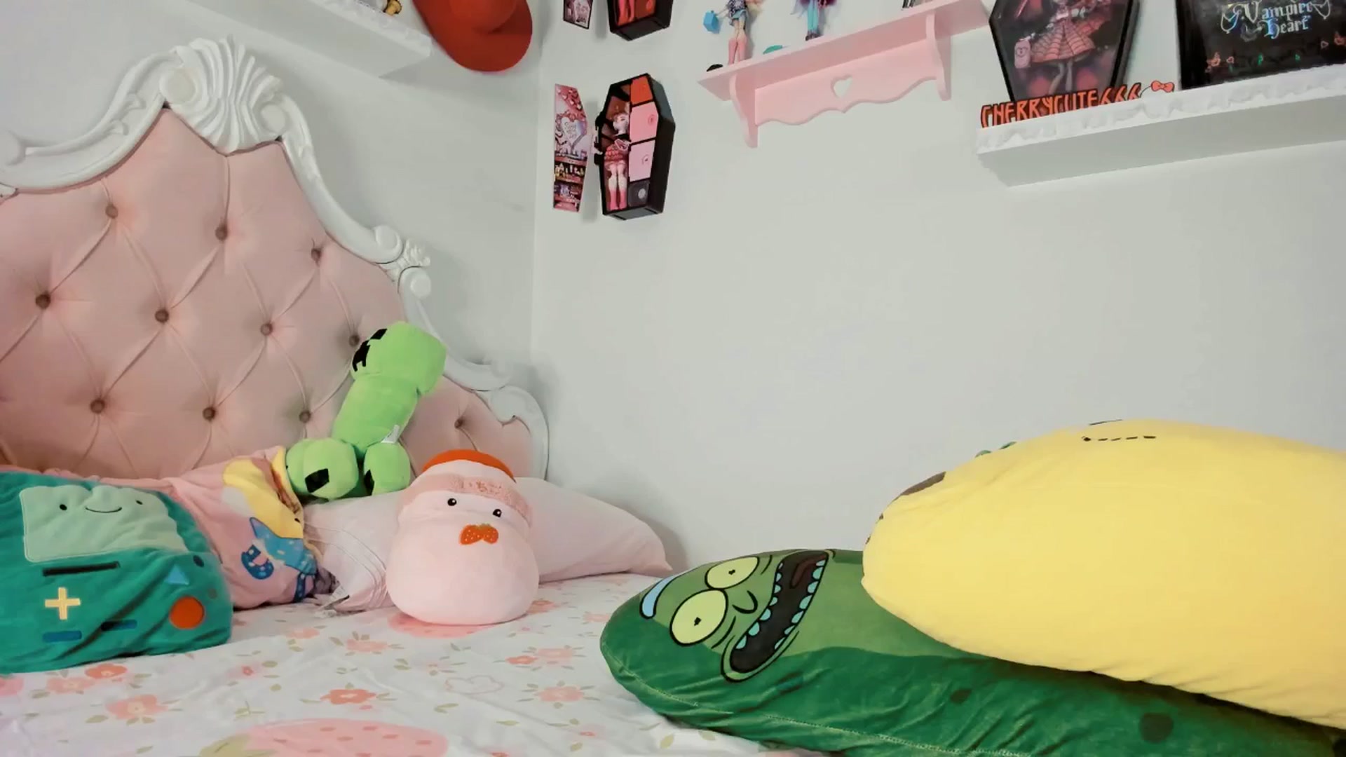 Gallery image thumbnail from Cherrycute666's myfreecams stream on, 10/10/2025, 04:04 image 12 of 20