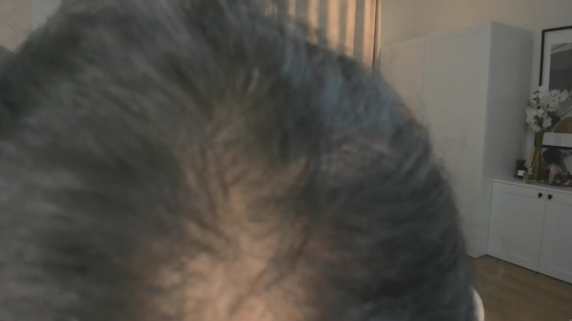 Gallery image thumbnail from CheshireX's myfreecams stream on, 02/04/2026, 05:22 image 14 of 20