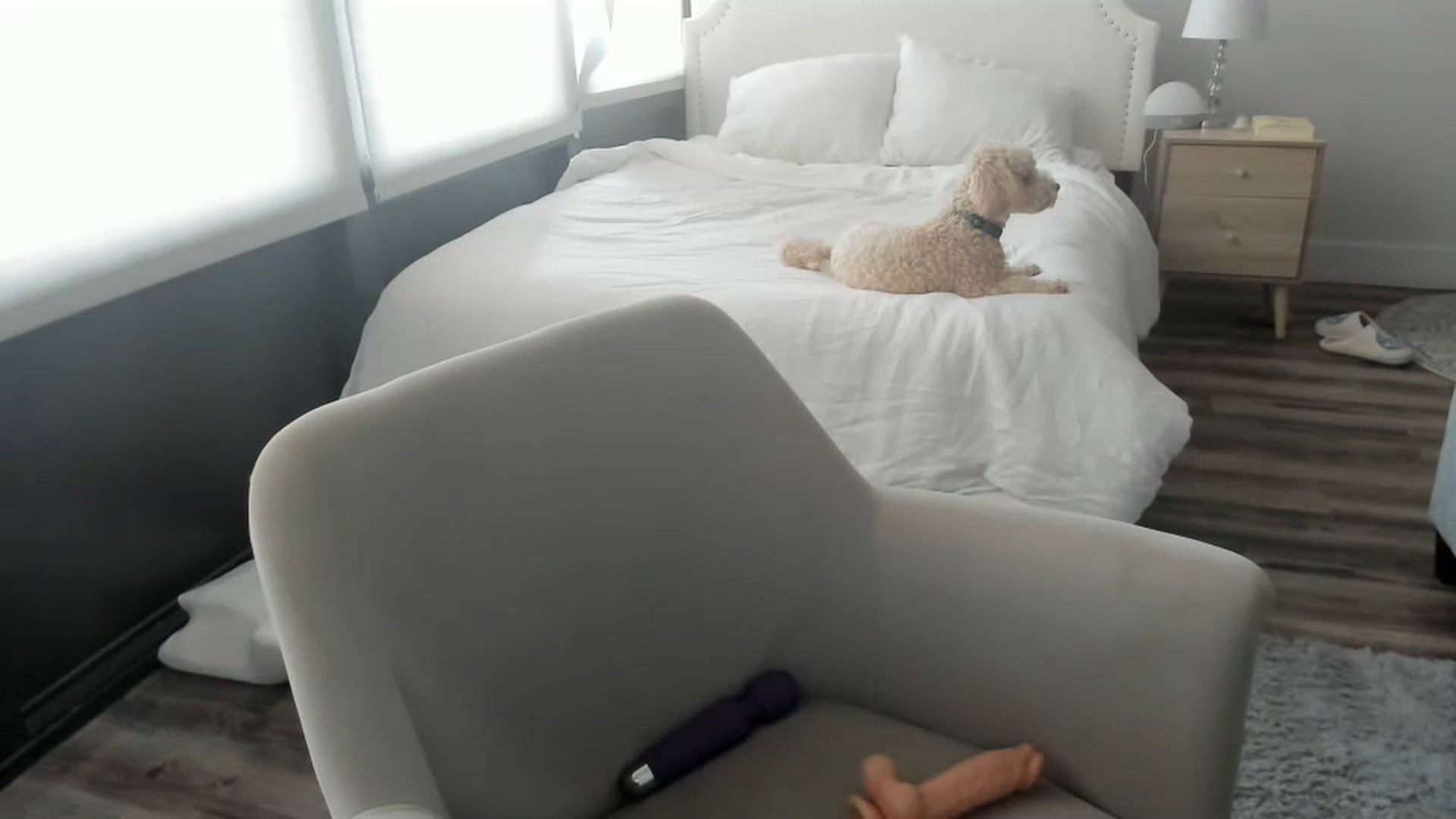 Gallery image thumbnail from ChiTown_777's myfreecams stream on, 07/19/2023, 22:34 image 7 of 20