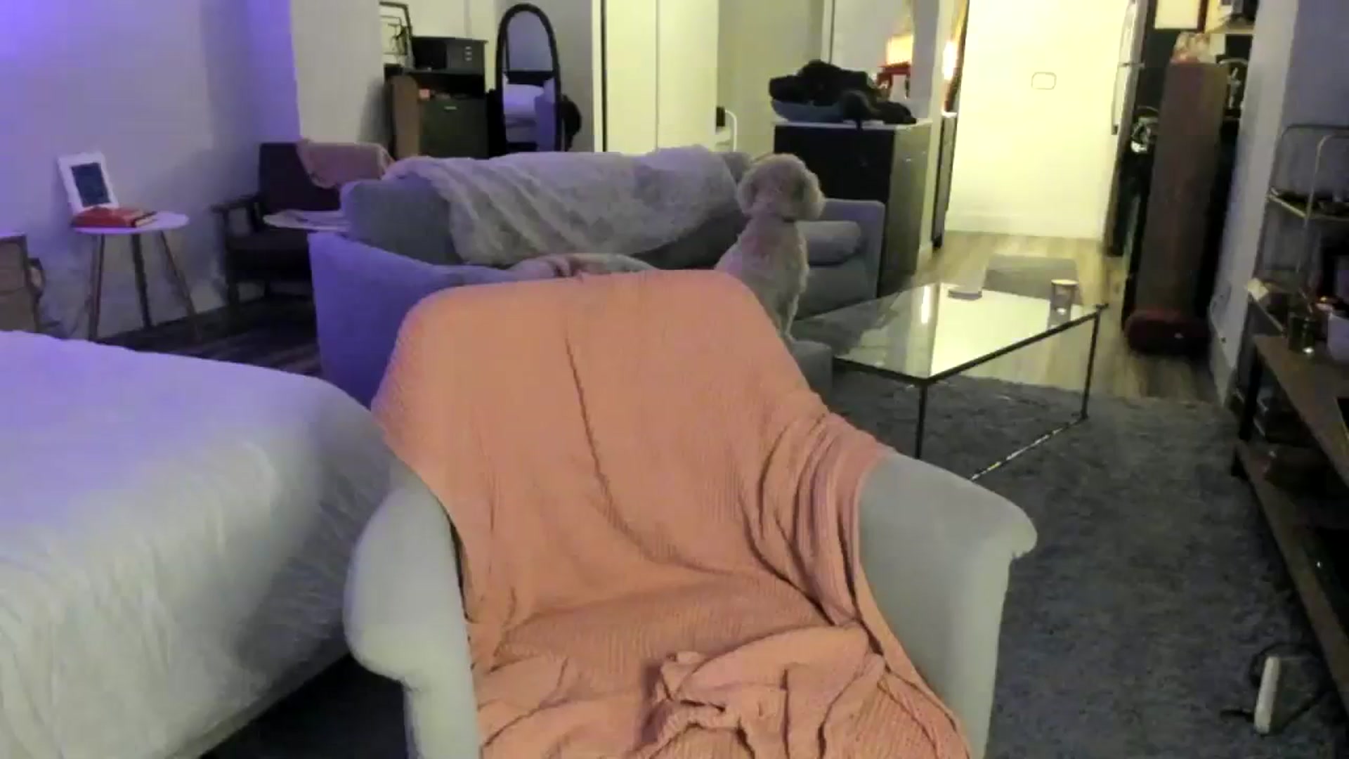 Gallery image thumbnail from ChiTown_777's myfreecams stream on, 12/27/2023, 01:13 image 6 of 20