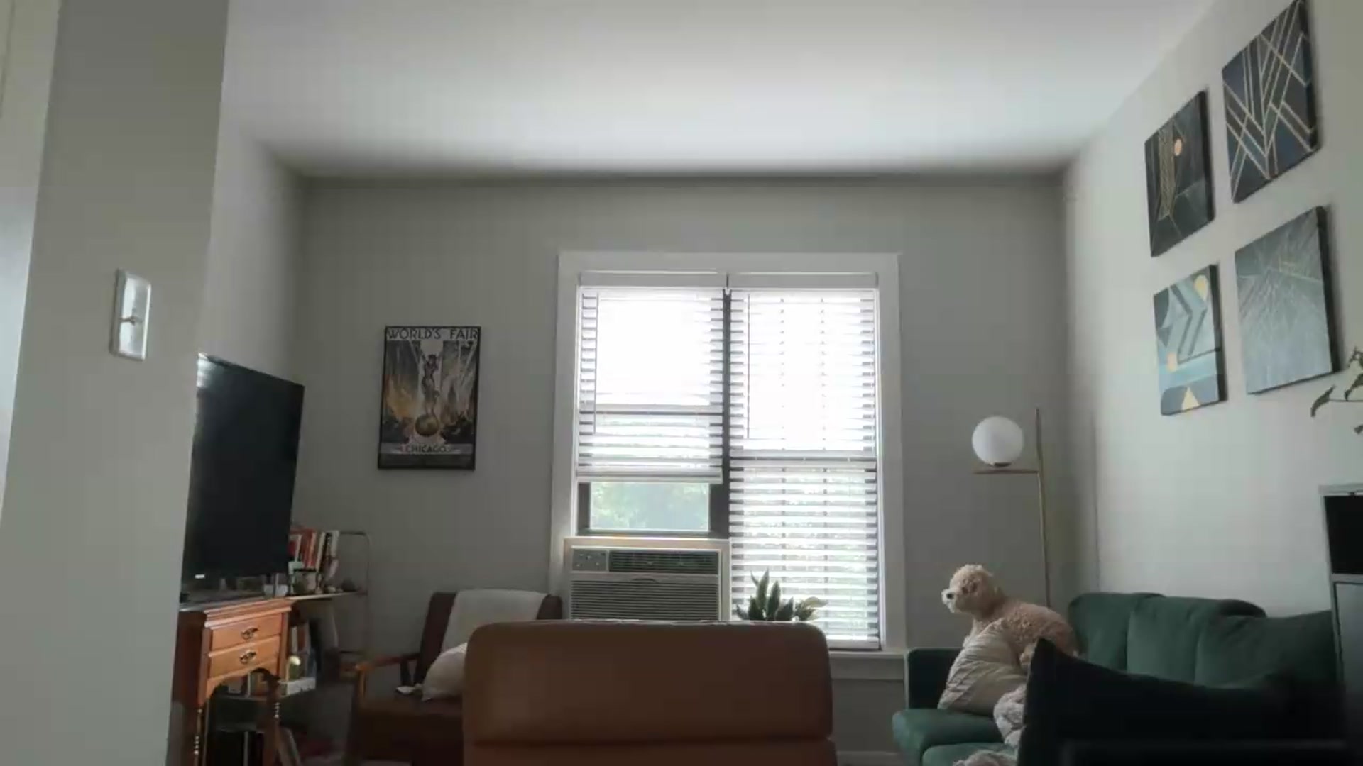 Gallery image thumbnail from ChiTown_777's myfreecams stream on, 07/06/2026, 24:30 image 17 of 20