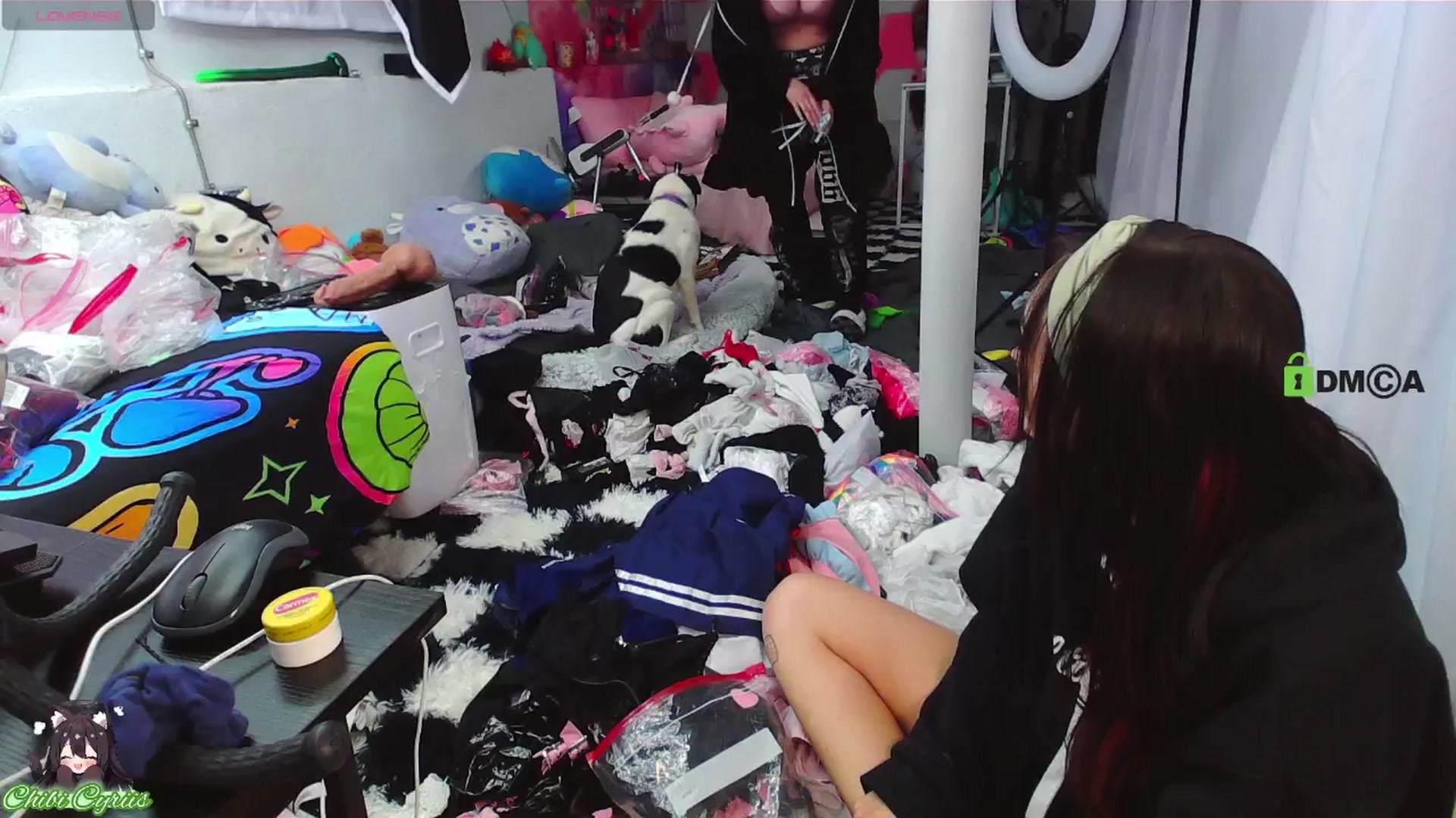 Gallery image thumbnail from ChibiCyriis's myfreecams stream on, 04/16/2026, 24:02 image 13 of 20
