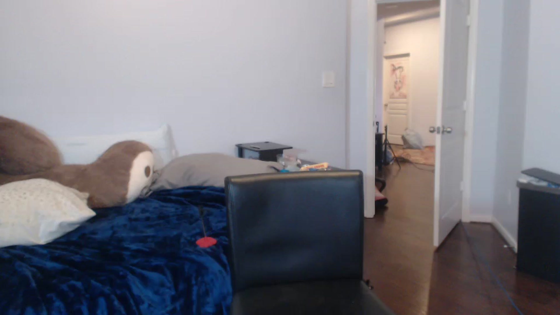 Gallery image thumbnail from Chibunny's myfreecams stream on, 11/29/2022, 16:31 image 18 of 20