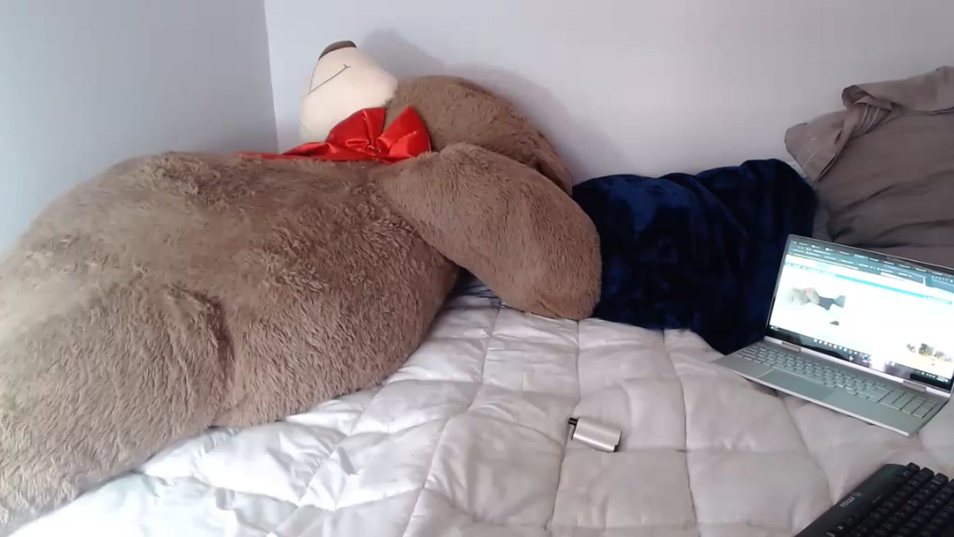 Gallery image thumbnail from Chibunny's myfreecams stream on, 12/08/2022, 19:21 image 12 of 20