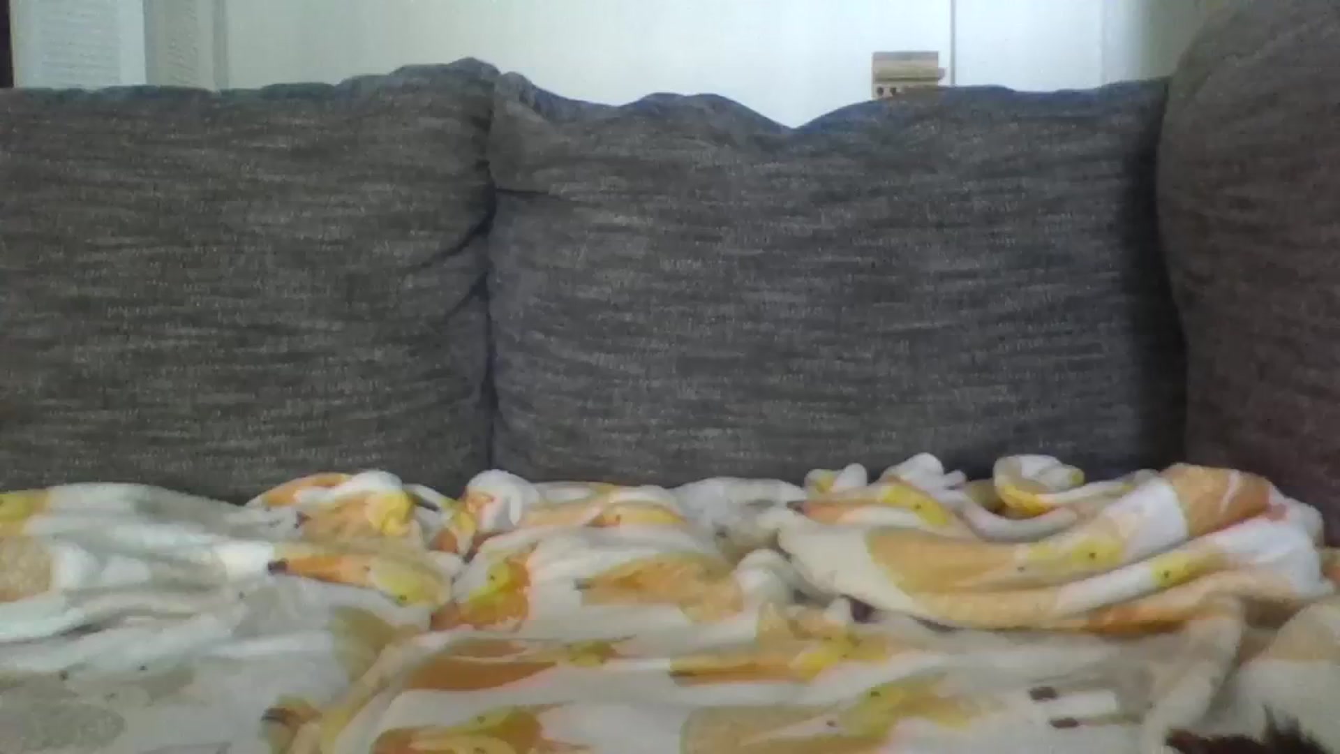 Gallery image thumbnail from Chknwangz's myfreecams stream on, 03/12/2024, 17:39 image 14 of 20