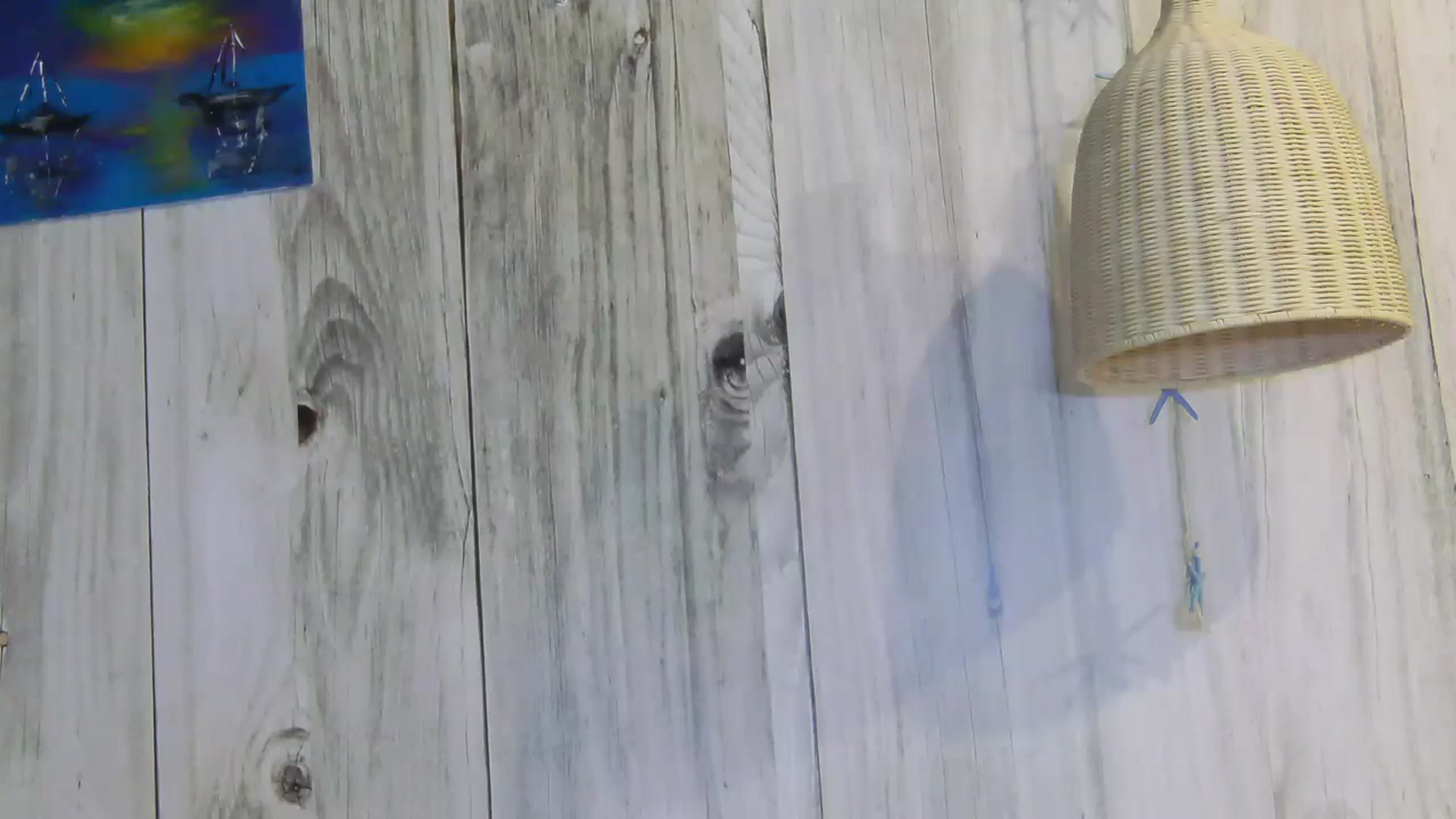 Gallery image thumbnail from ChloeBaby's myfreecams stream on, 06/24/2024, 22:47 image 19 of 20