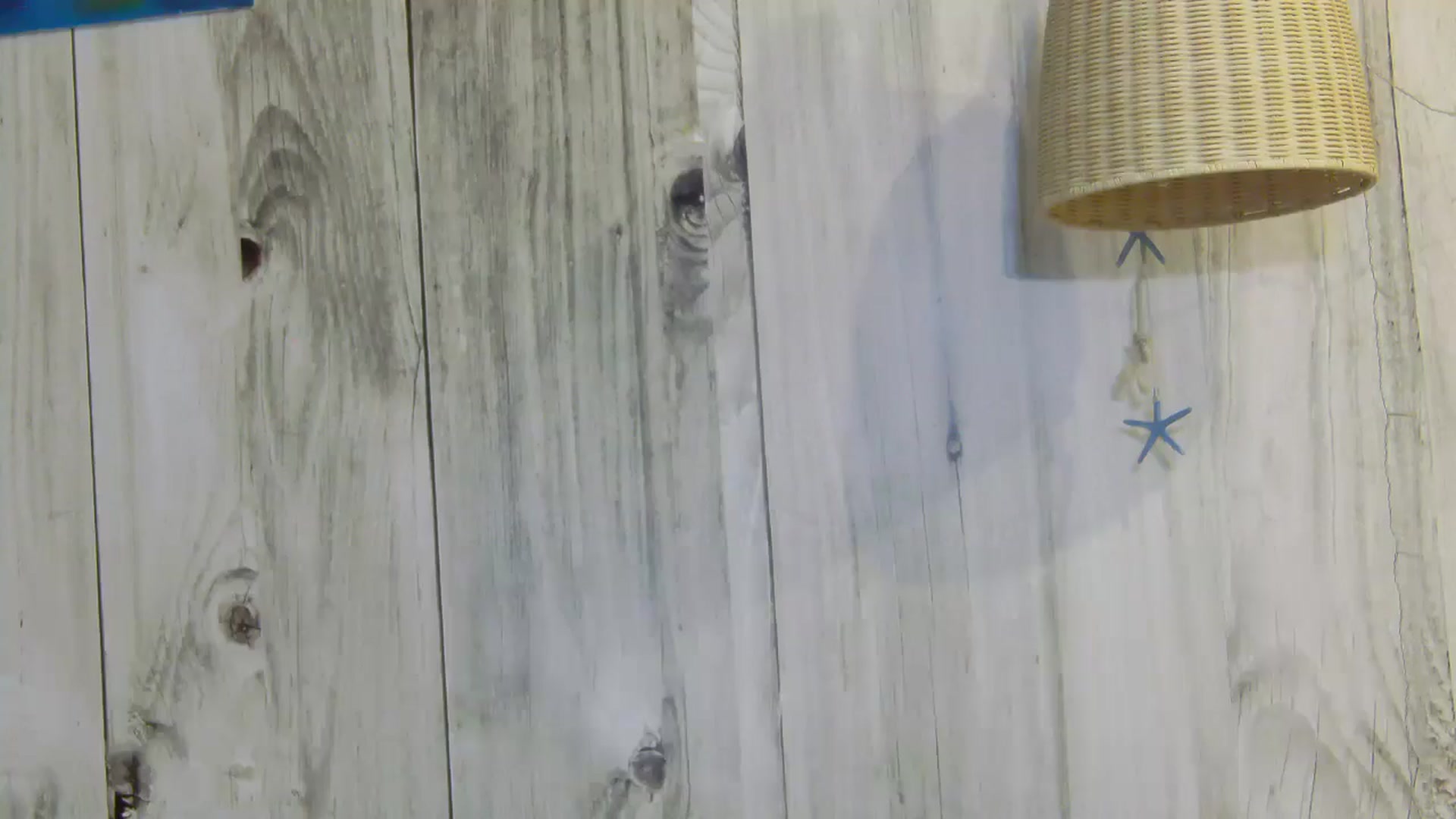 Gallery image thumbnail from ChloeBaby's myfreecams stream on, 07/22/2024, 23:27 image 11 of 20