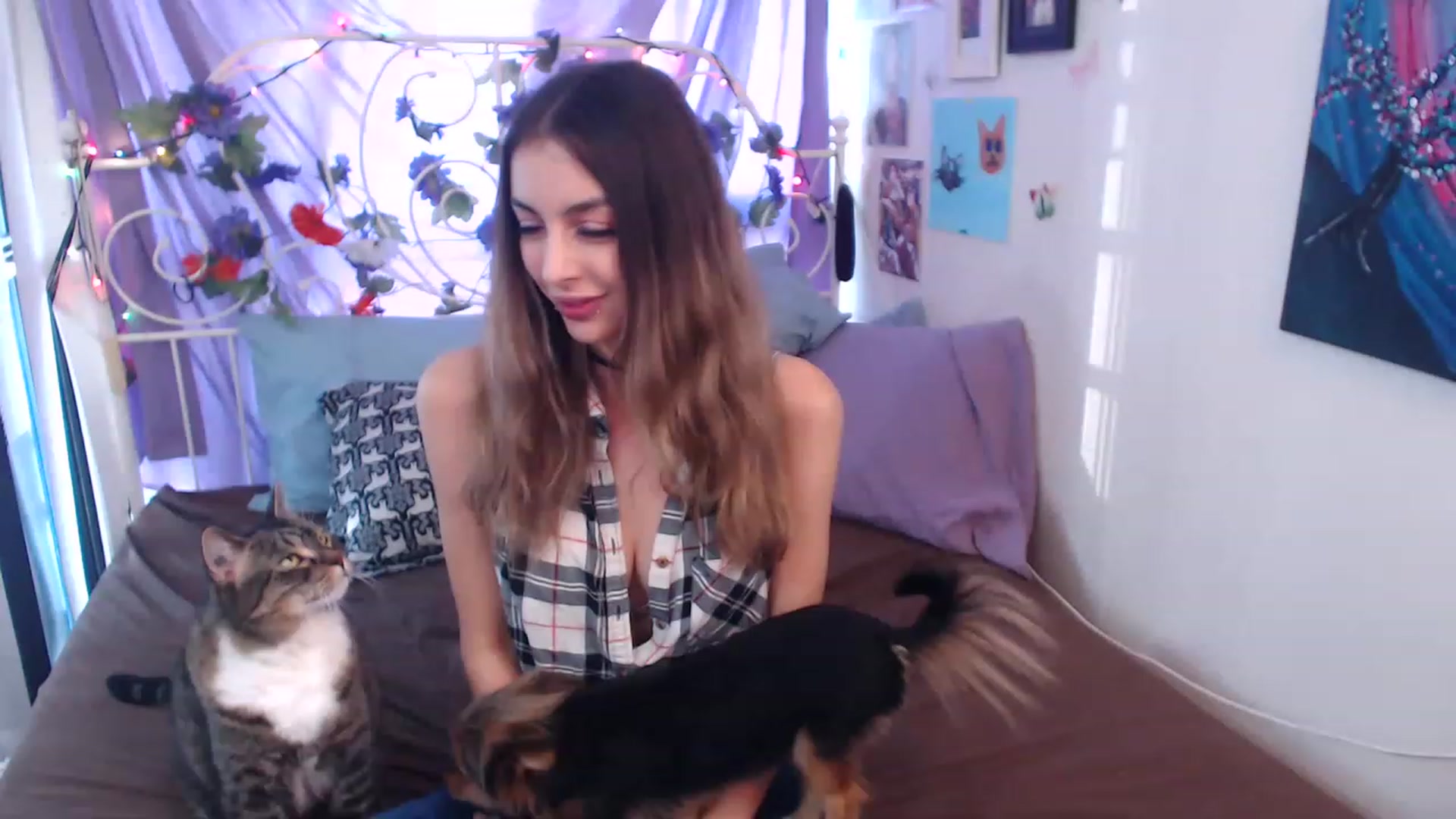 Gallery image thumbnail from ChloeNightxo's myfreecams stream on, 11/15/2022, 23:07 image 2 of 20