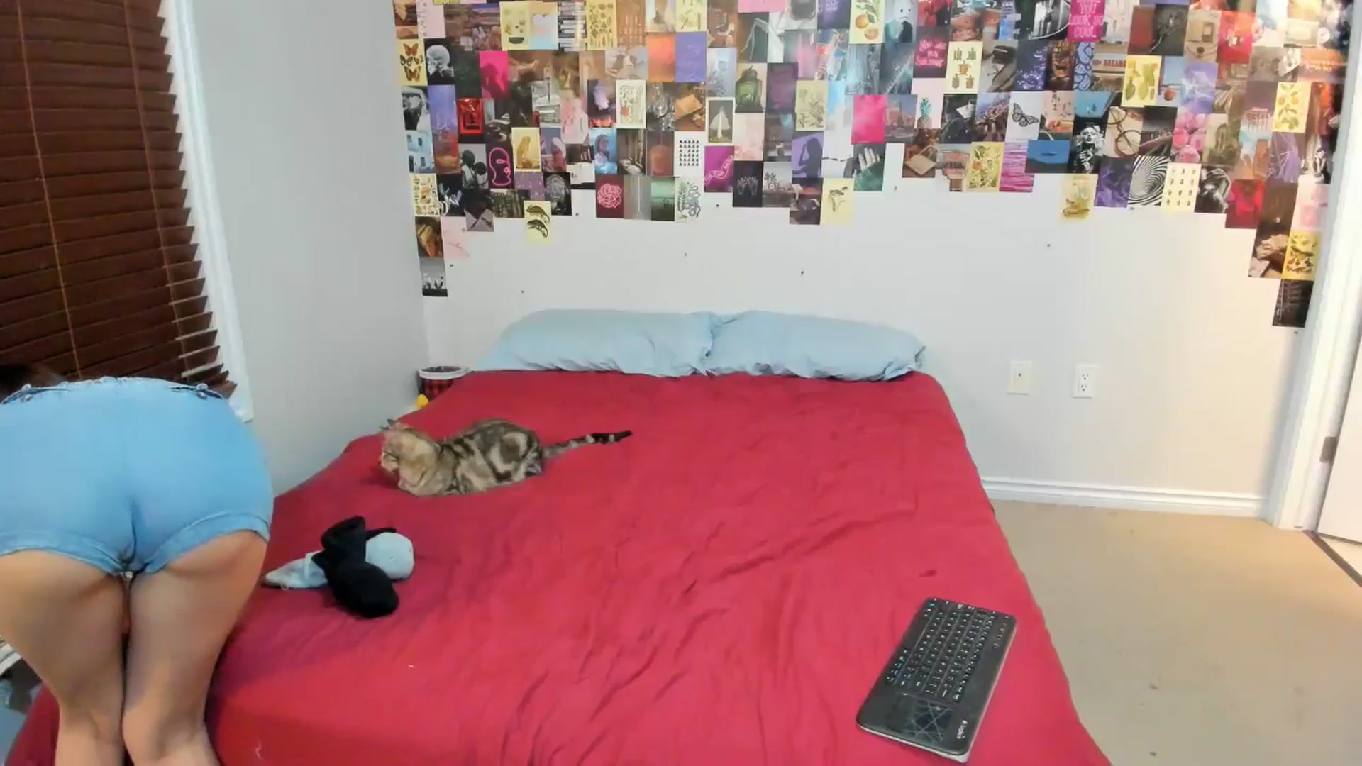 Gallery image thumbnail from ChloeNightxo's myfreecams stream on, 07/10/2024, 06:26 image 11 of 20