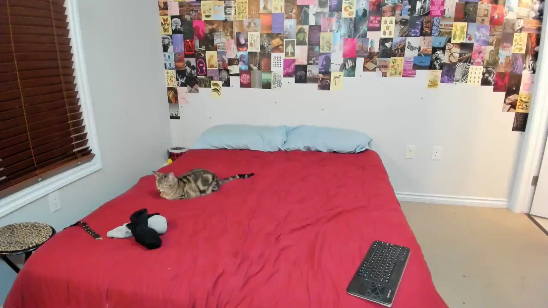 Gallery image thumbnail from ChloeNightxo's myfreecams stream on, 07/10/2024, 06:26 image 10 of 20