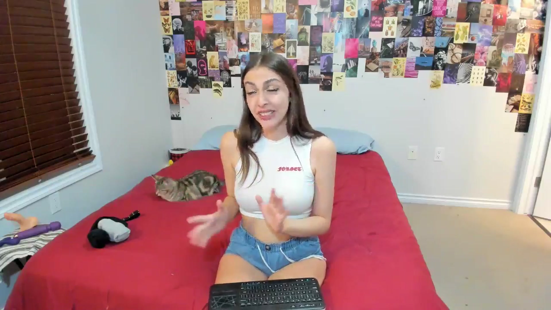 Gallery image thumbnail from ChloeNightxo's myfreecams stream on, 07/10/2024, 06:26 image 16 of 20
