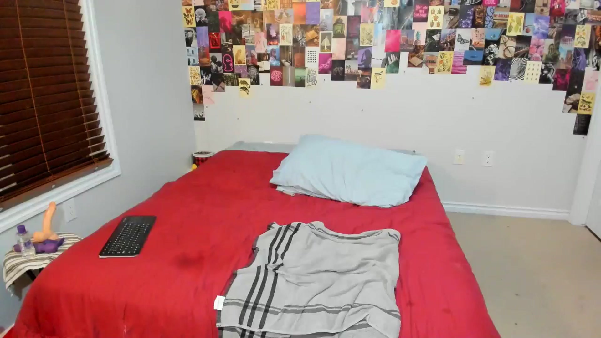 Gallery image thumbnail from ChloeNightxo's myfreecams stream on, 07/10/2024, 07:45 image 13 of 20