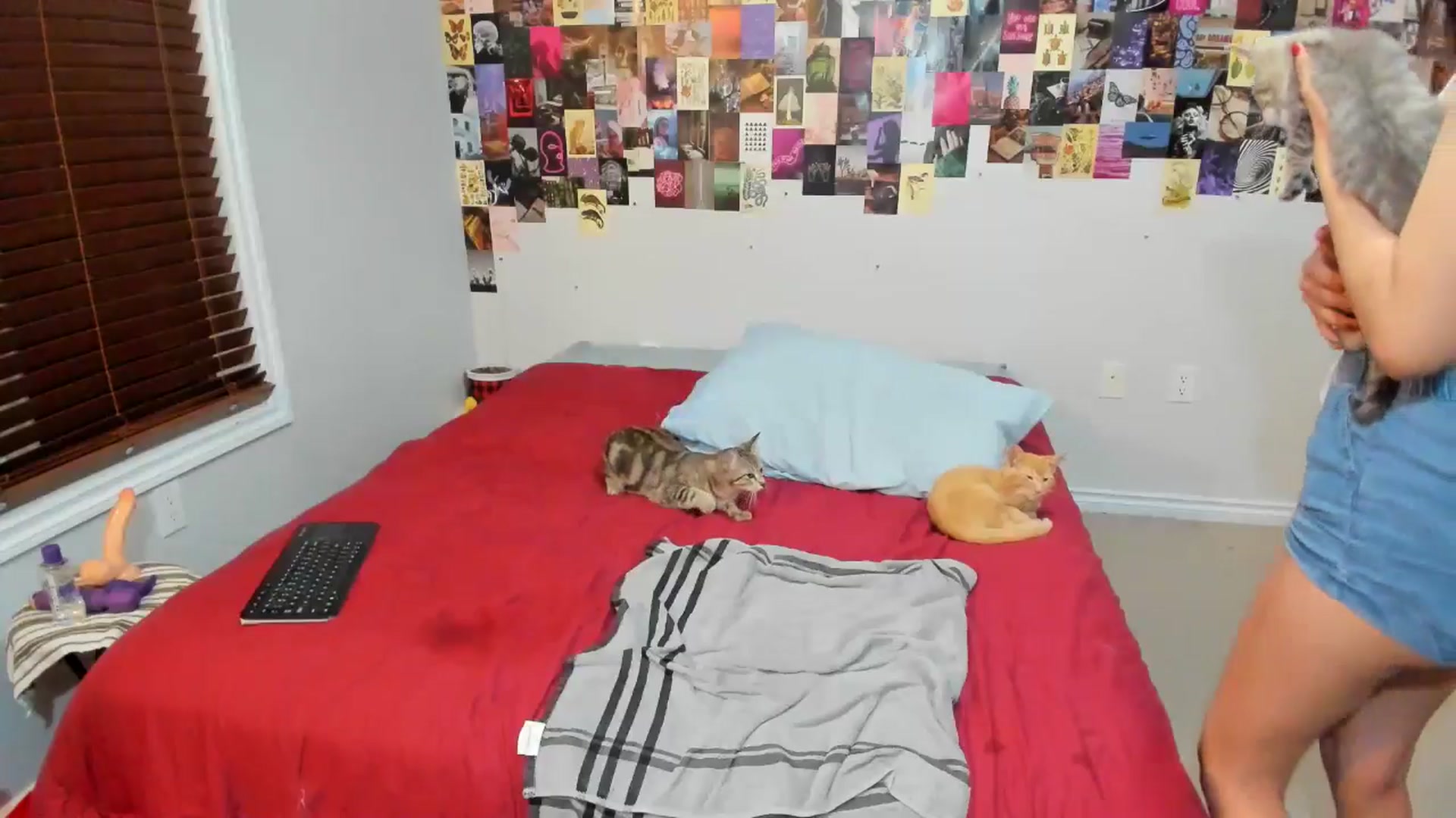 Gallery image thumbnail from ChloeNightxo's myfreecams stream on, 07/10/2024, 07:45 image 12 of 20
