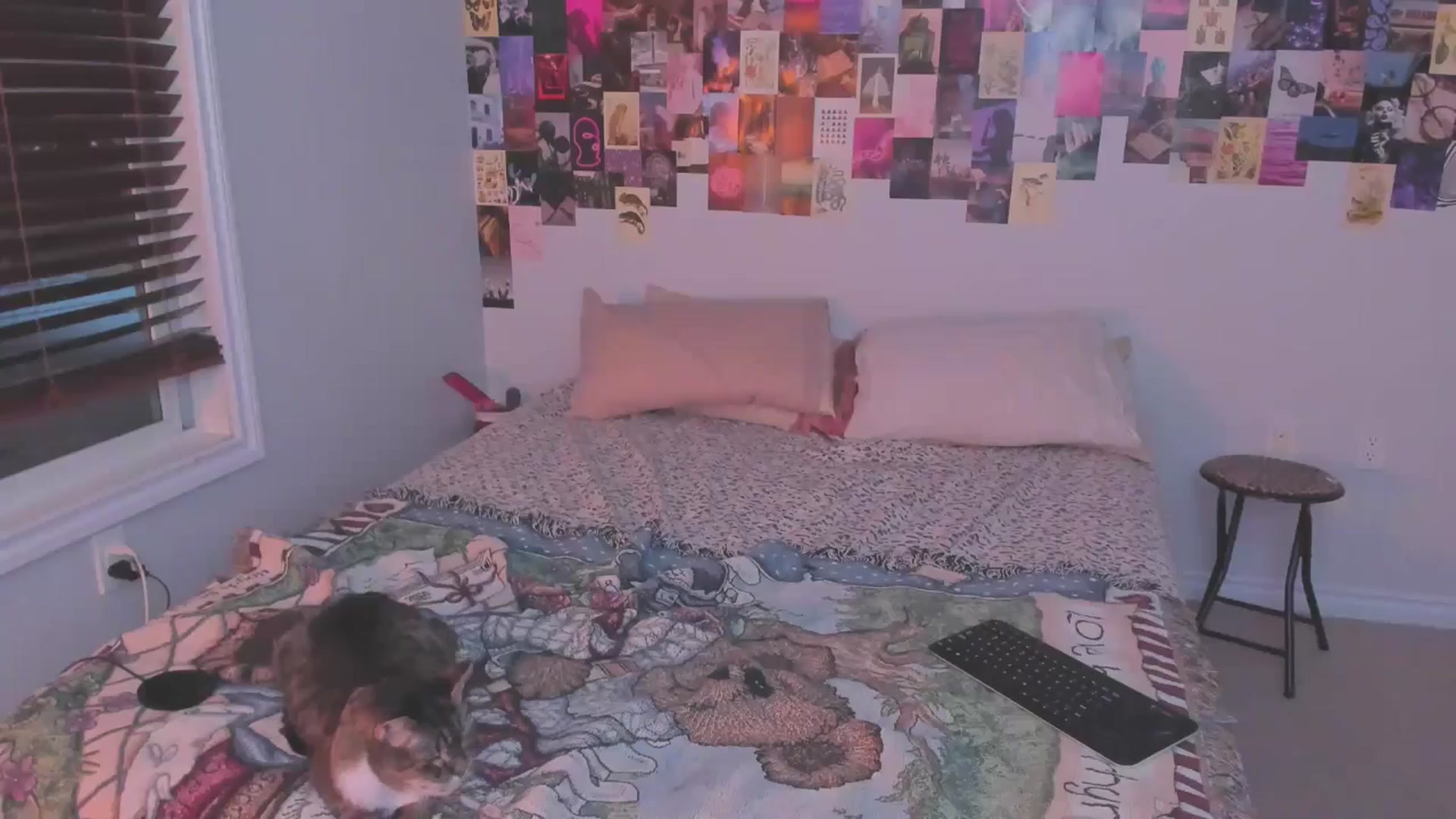 Gallery image thumbnail from ChloeNightxo's myfreecams stream on, 02/13/2025, 11:45 image 18 of 20