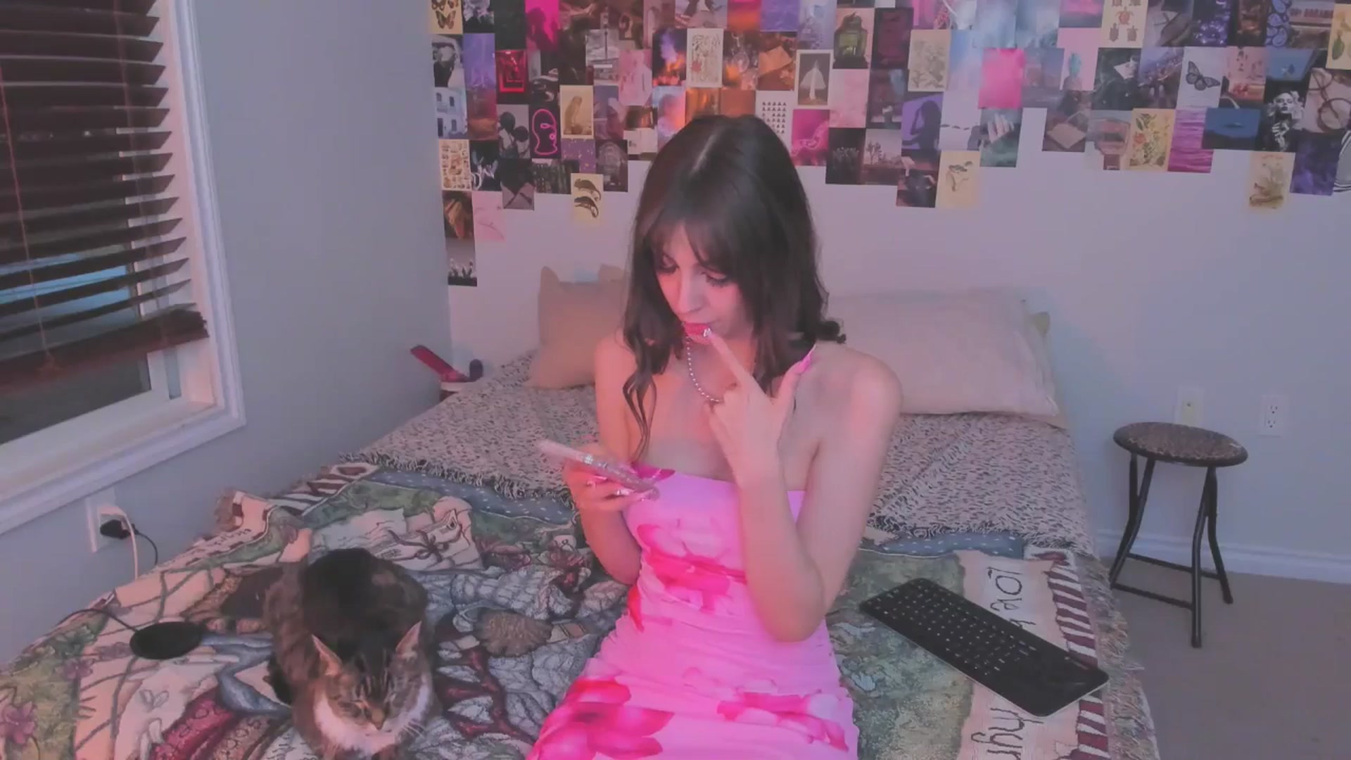 Gallery image thumbnail from ChloeNightxo's myfreecams stream on, 02/13/2025, 11:45 image 15 of 20