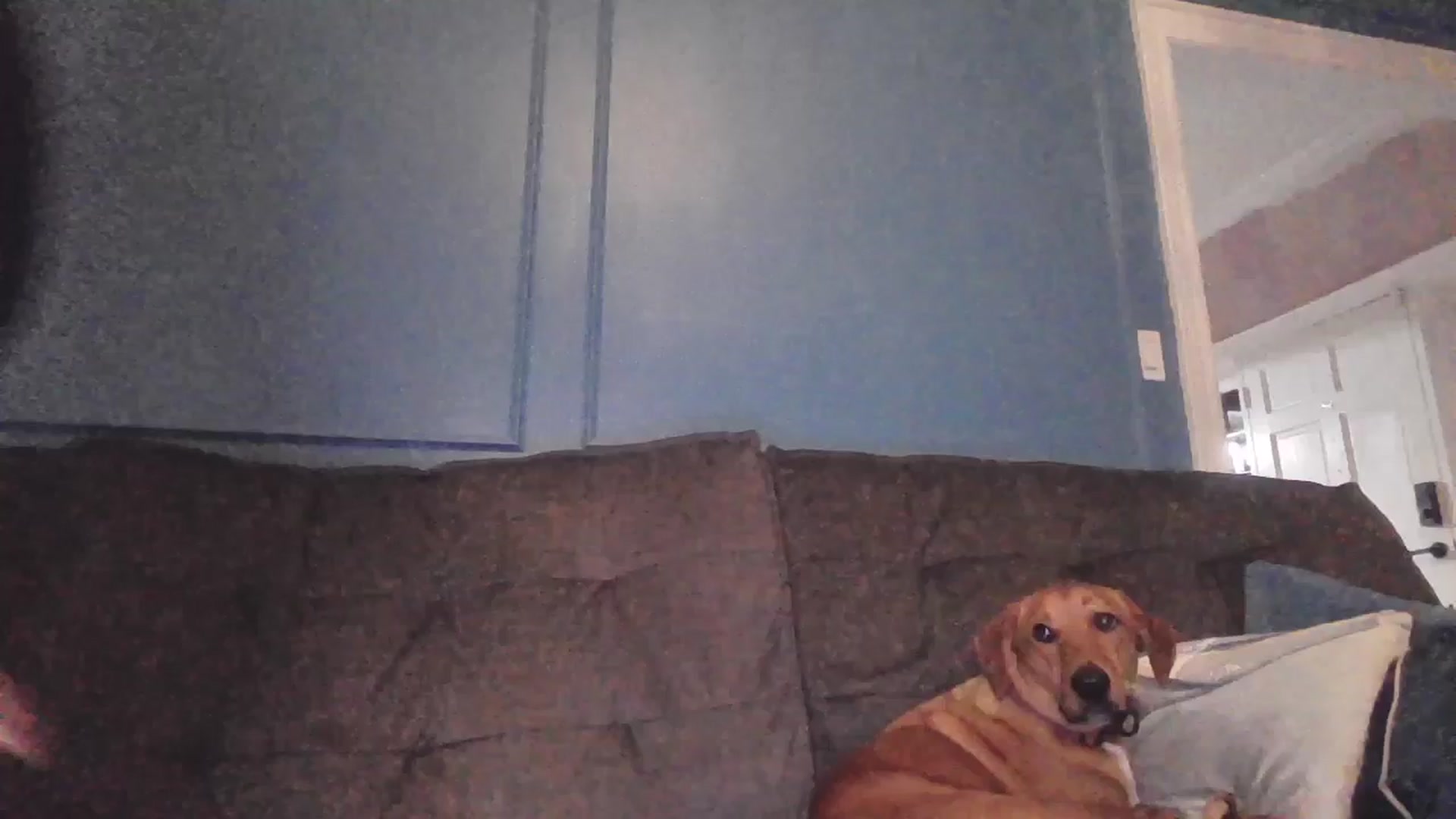 Gallery image thumbnail from Chloe_Lamb's myfreecams stream on, 03/21/2025, 01:15 image 6 of 20