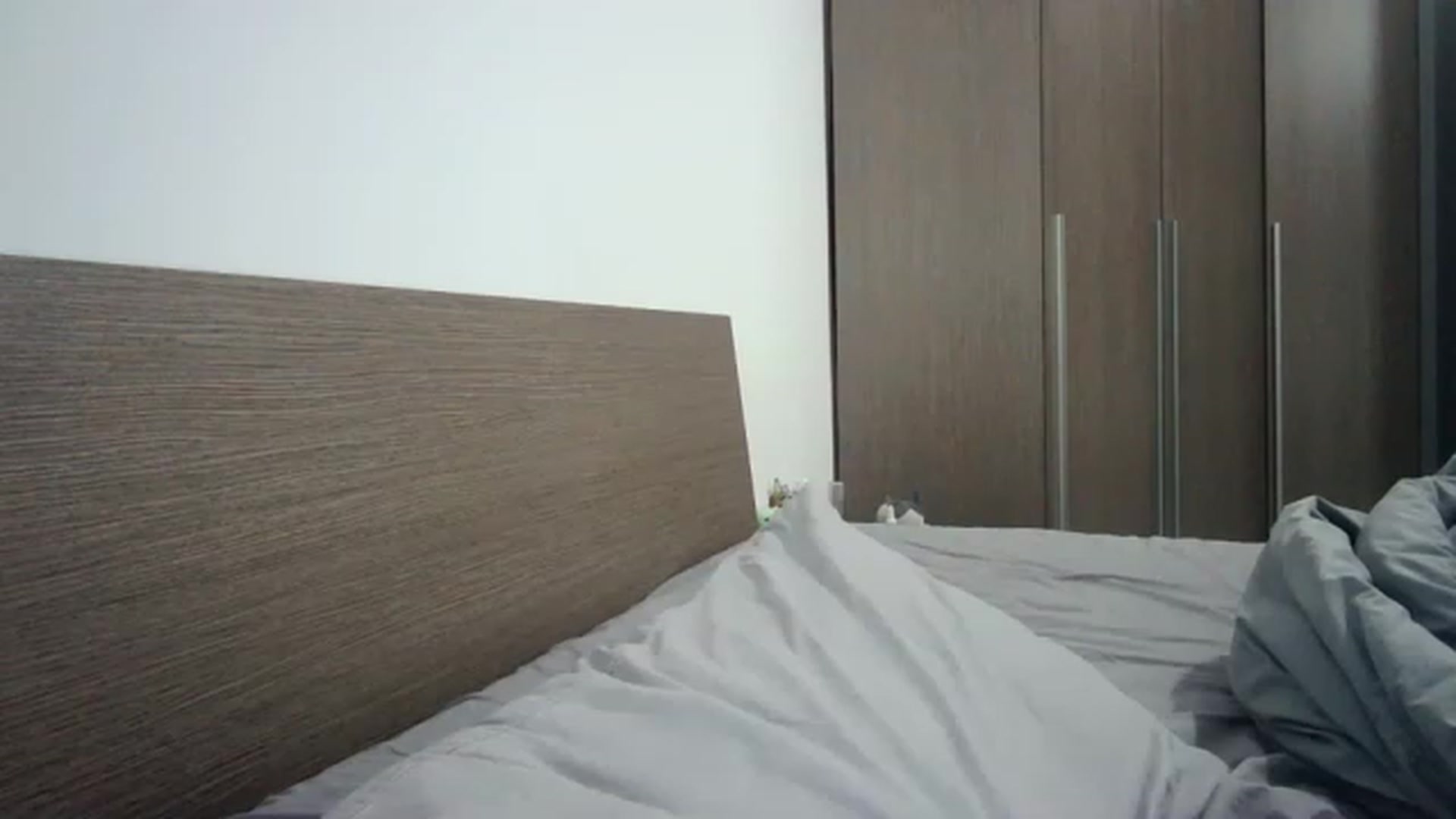 Gallery image thumbnail from ChocoPie_'s myfreecams stream on, 08/20/2023, 23:29 image 2 of 20