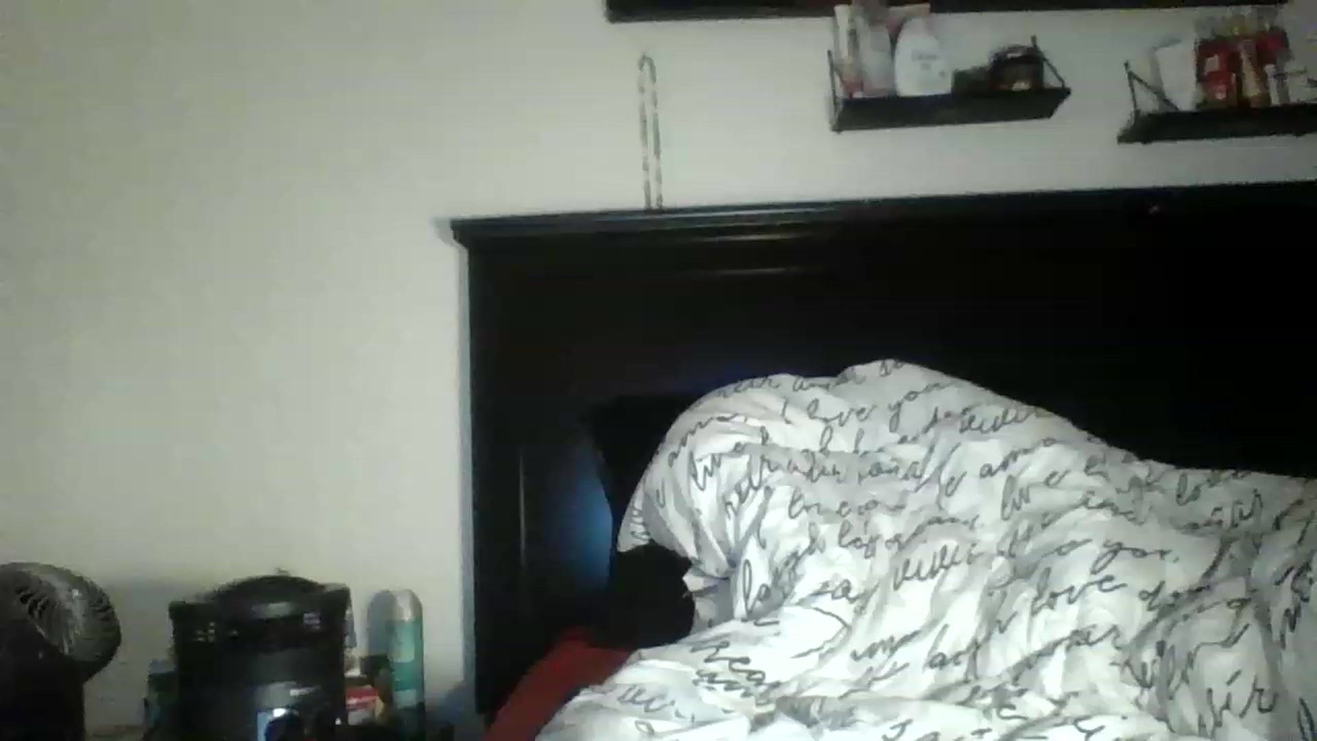 Gallery image thumbnail from Chocolatek79's myfreecams stream on, 11/22/2022, 20:57 image 8 of 20
