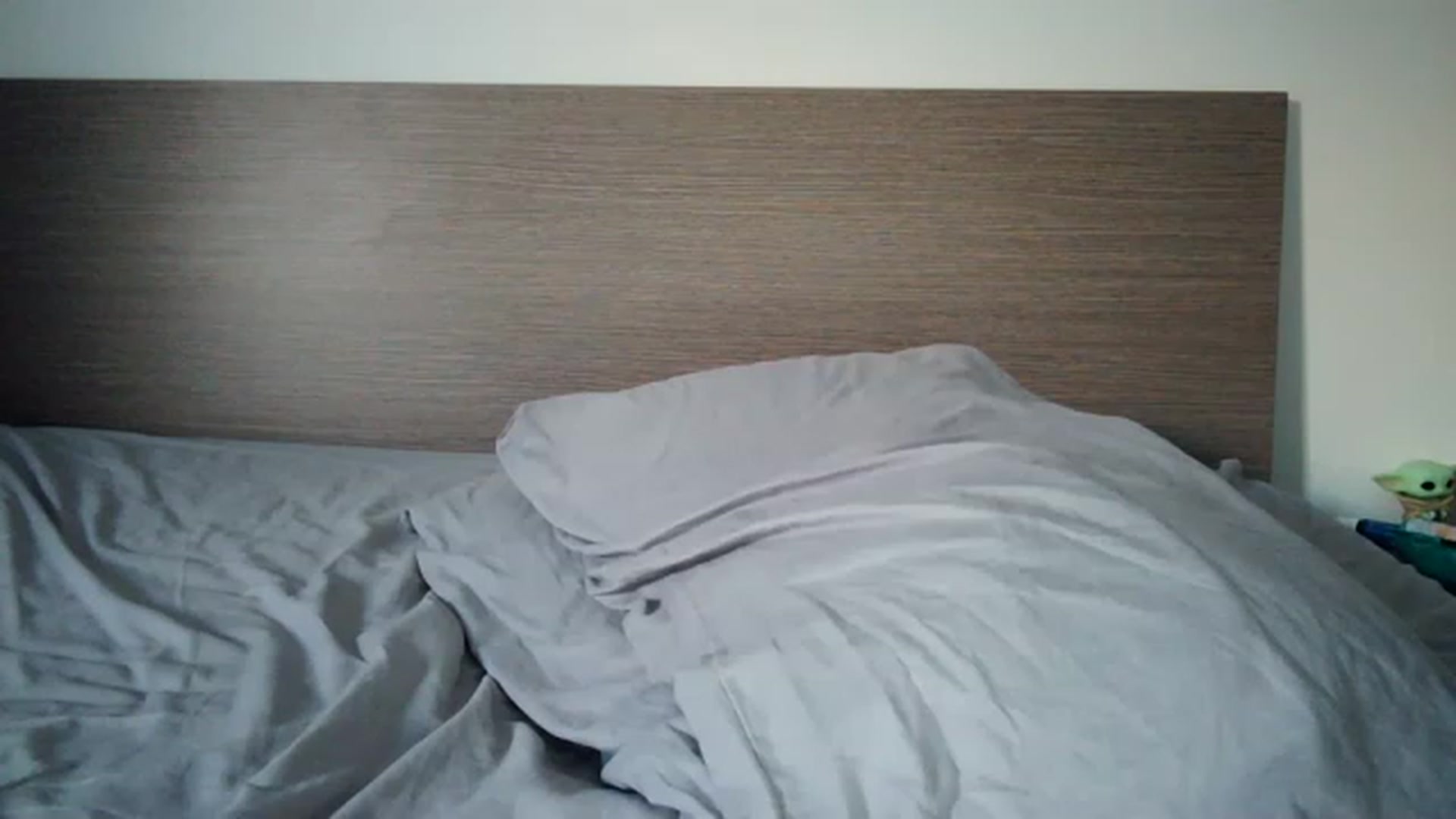 Gallery image thumbnail from Chocoo_'s myfreecams stream on, 06/26/2023, 18:17 image 17 of 20