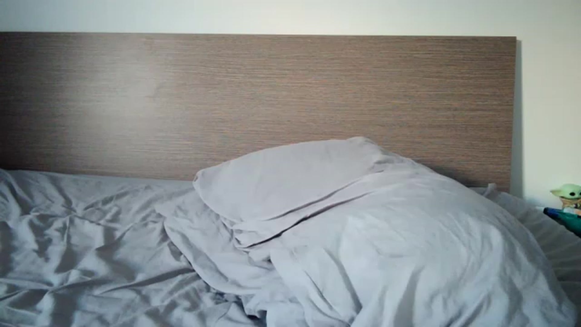 Gallery image thumbnail from Chocoo_'s myfreecams stream on, 06/26/2023, 18:17 image 15 of 20