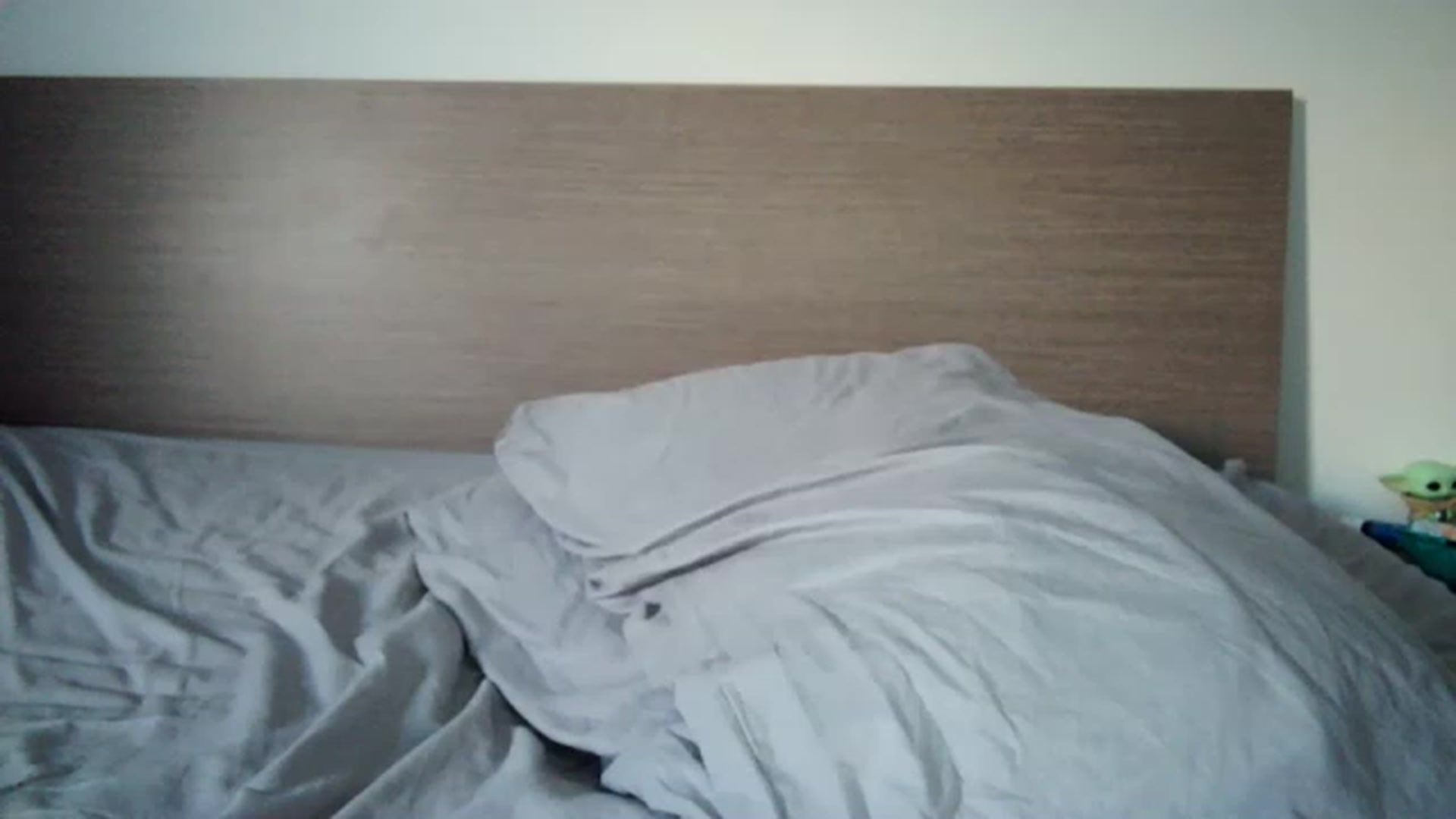 Gallery image thumbnail from Chocoo_'s myfreecams stream on, 06/26/2023, 18:17 image 16 of 20