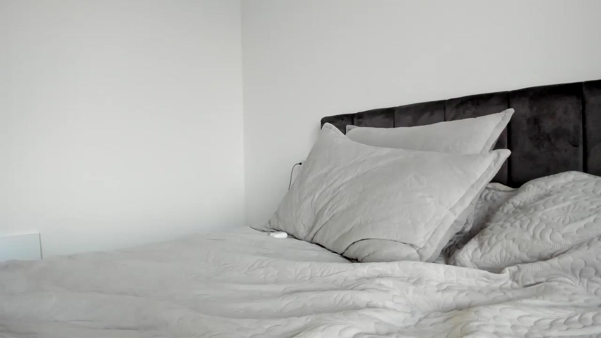 Gallery image thumbnail from Chris_Sweet_'s myfreecams stream on, 09/08/2024, 16:58 image 19 of 20