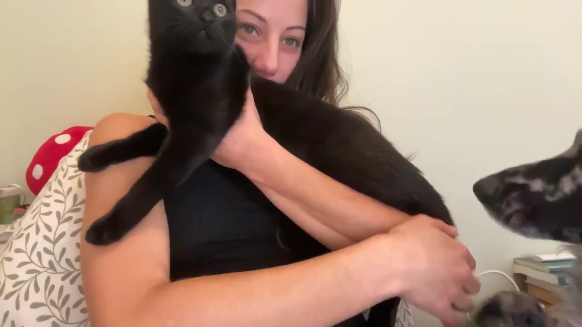 Gallery image thumbnail from ChristinaKey's myfreecams stream on, 12/29/2025, 12:58 image 7 of 20