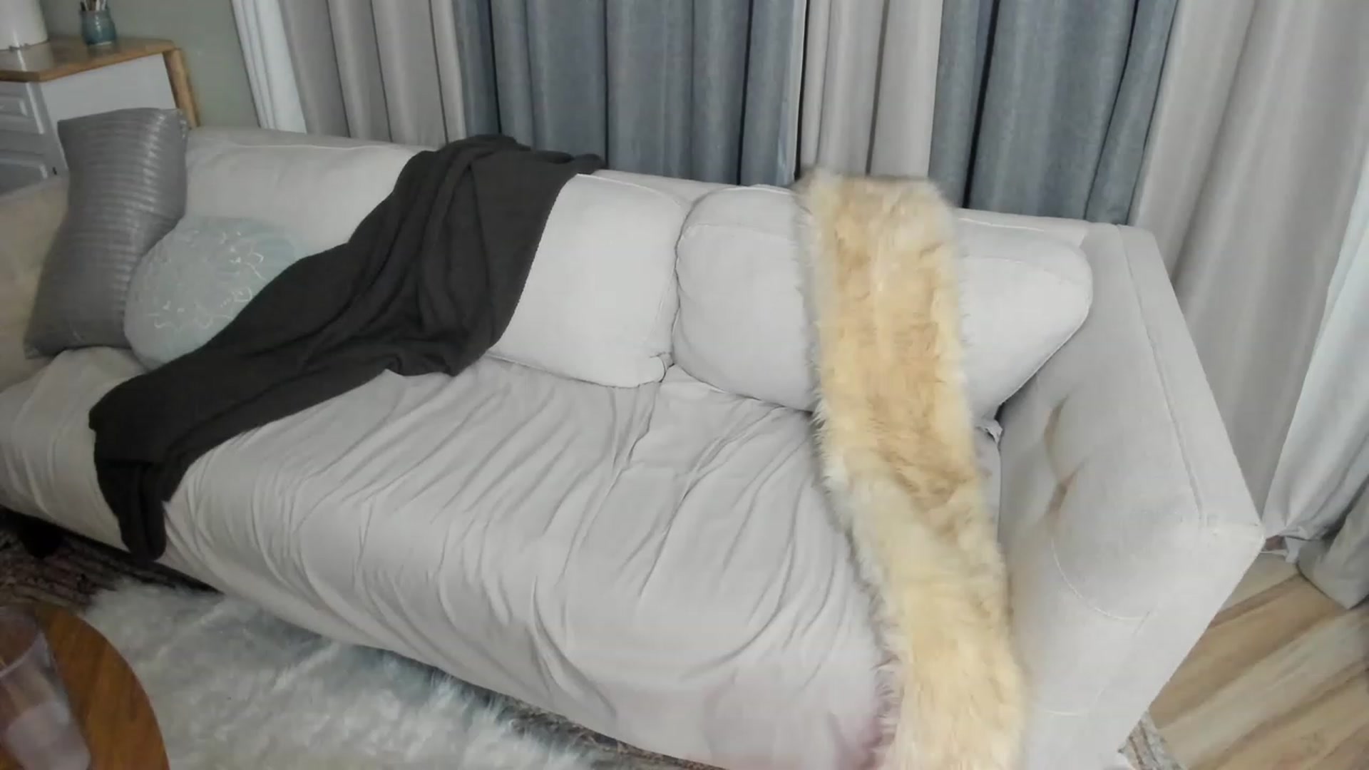Gallery image thumbnail from ChristineAsh's myfreecams stream on, 05/29/2023, 03:17 image 12 of 20
