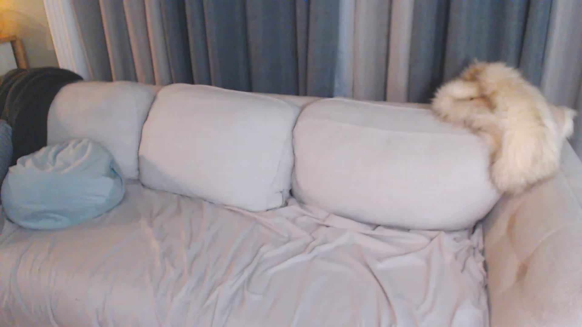 Gallery image thumbnail from ChristineAsh's myfreecams stream on, 06/12/2023, 05:56 image 20 of 20