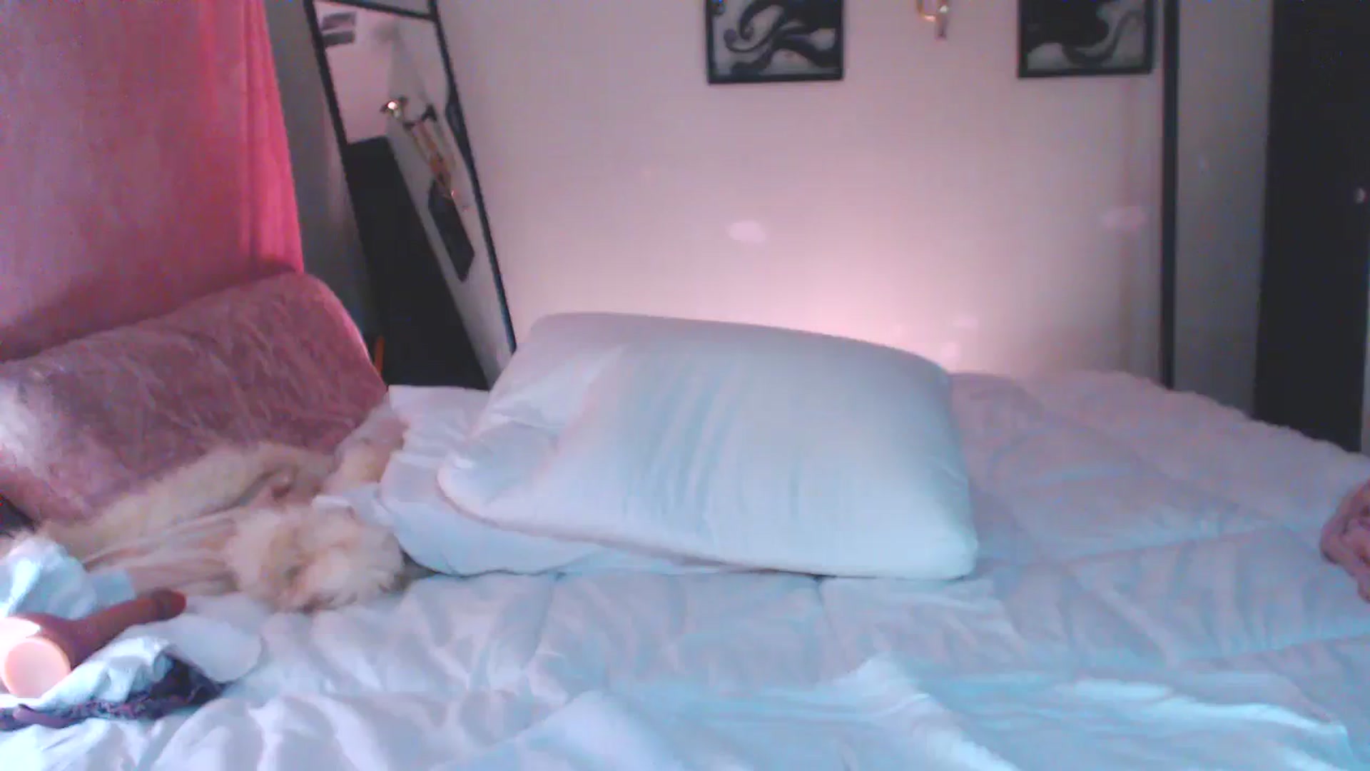 Gallery image thumbnail from ChristineAsh's myfreecams stream on, 10/16/2023, 08:49 image 3 of 20