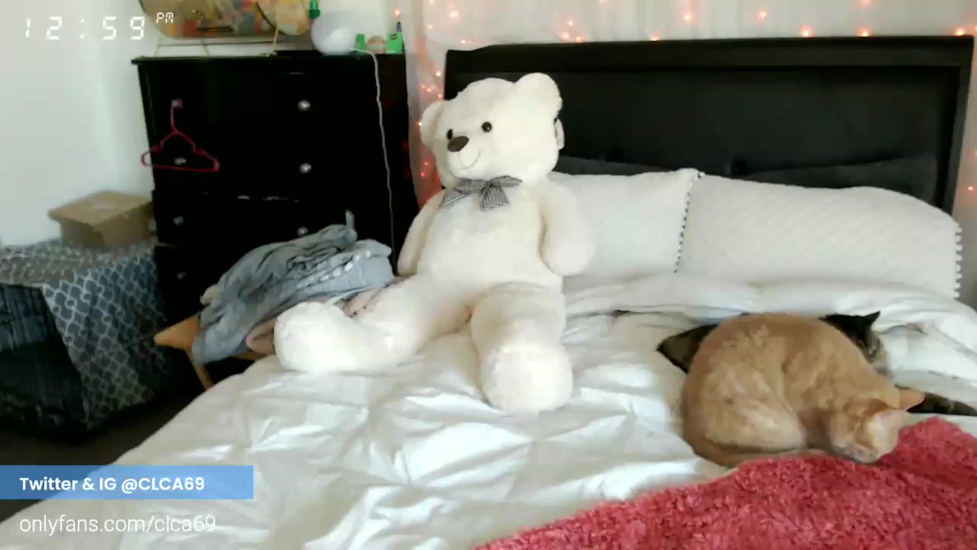 Gallery image thumbnail from Christy_Love's myfreecams stream on, 11/24/2022, 21:17 image 15 of 20