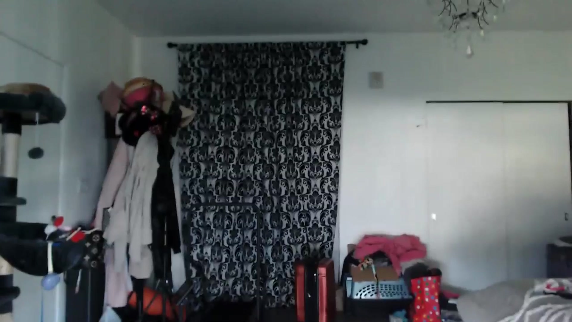 Gallery image thumbnail from Christy_Love's myfreecams stream on, 04/29/2024, 01:03 image 3 of 20