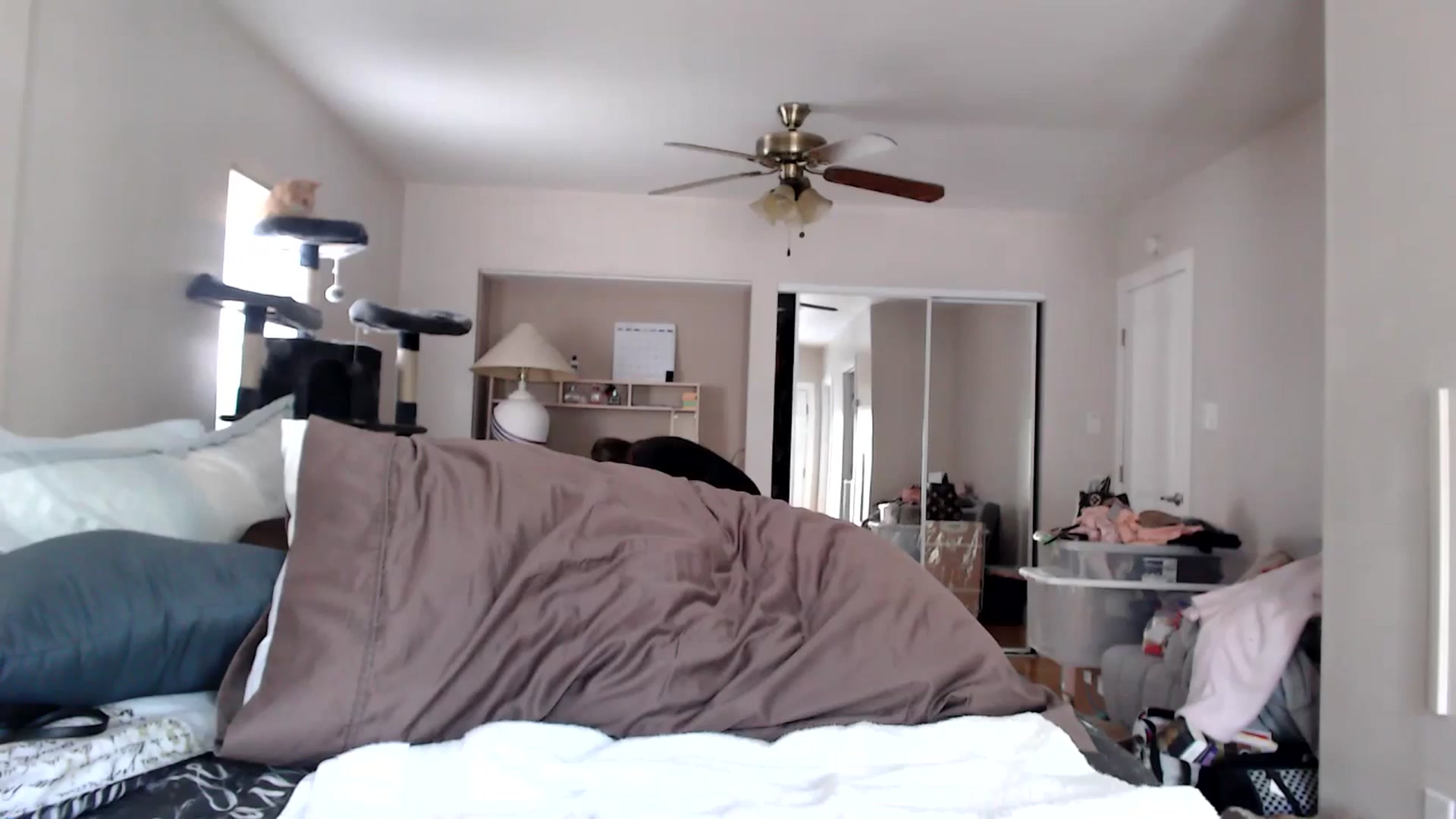 Gallery image thumbnail from Christy_Love's myfreecams stream on, 07/02/2024, 21:49 image 3 of 20
