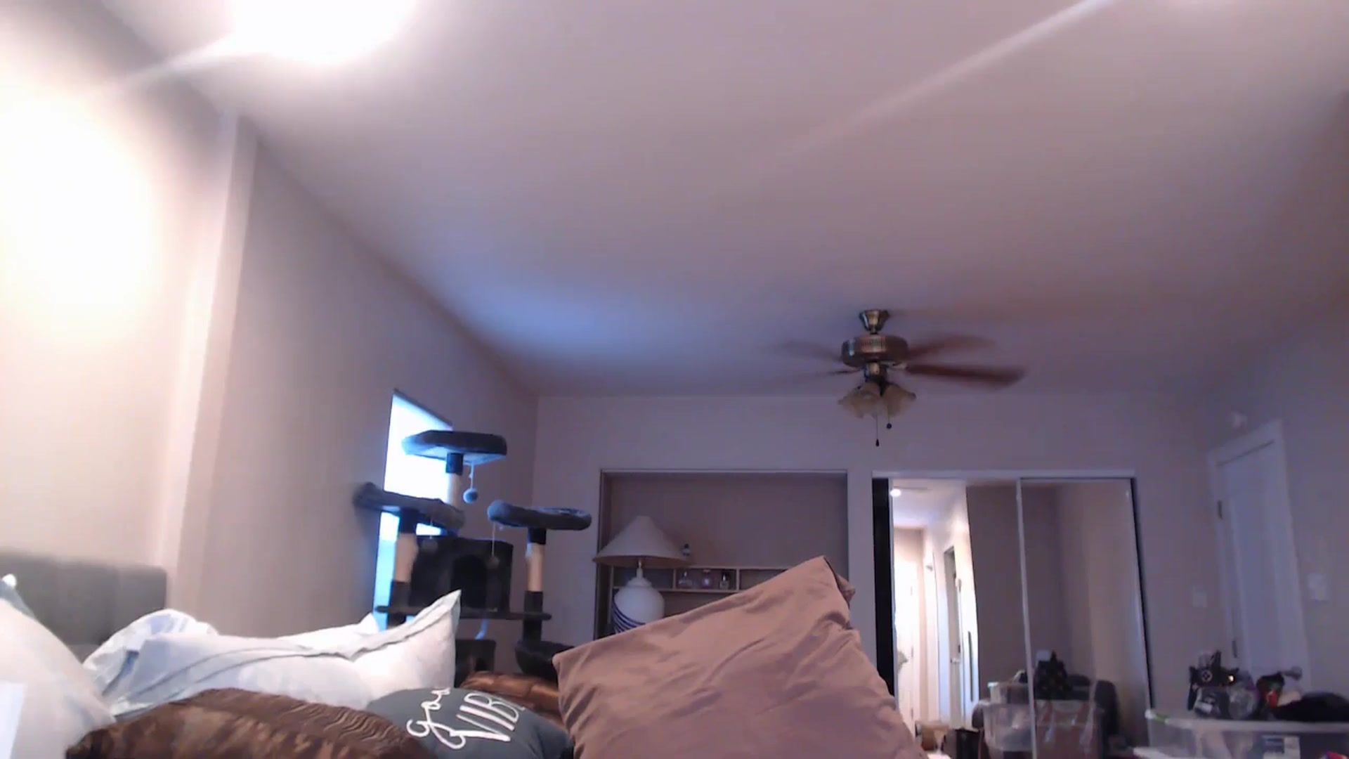 Gallery image thumbnail from Christy_Love's myfreecams stream on, 07/05/2024, 01:54 image 9 of 20