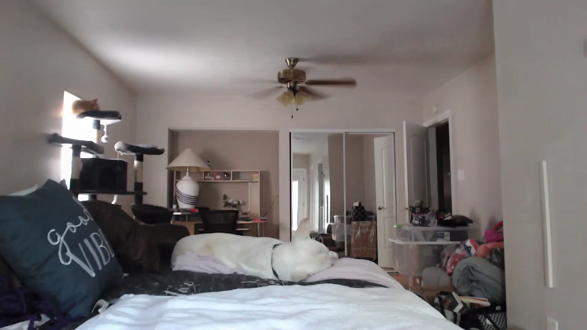 Gallery image thumbnail from Christy_Love's myfreecams stream on, 07/05/2024, 22:02 image 12 of 20