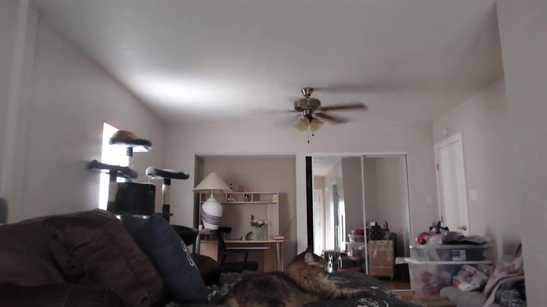 Gallery image thumbnail from Christy_Love's myfreecams stream on, 07/10/2024, 20:10 image 10 of 20