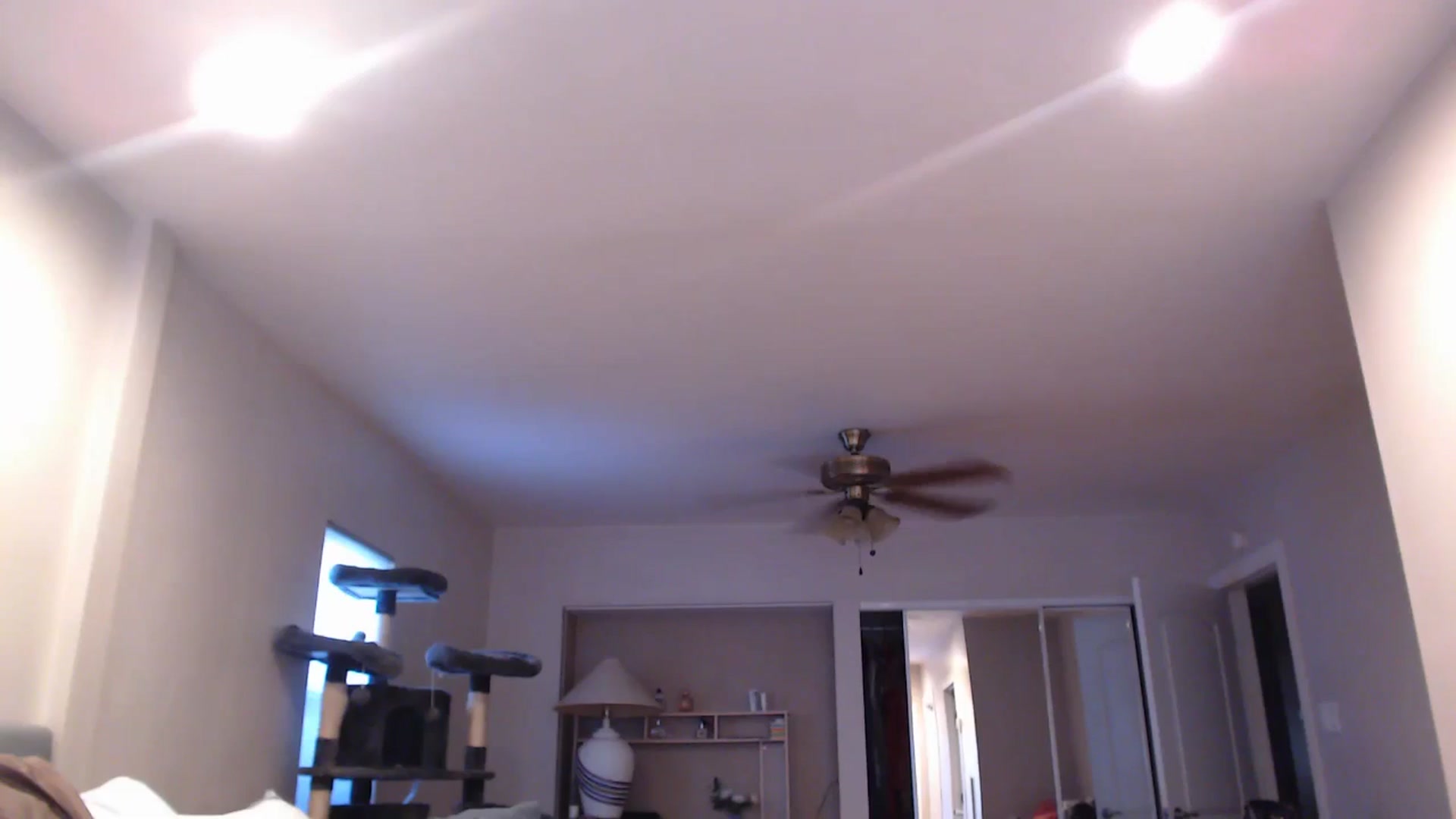 Gallery image thumbnail from Christy_Love's myfreecams stream on, 07/15/2024, 03:19 image 7 of 20