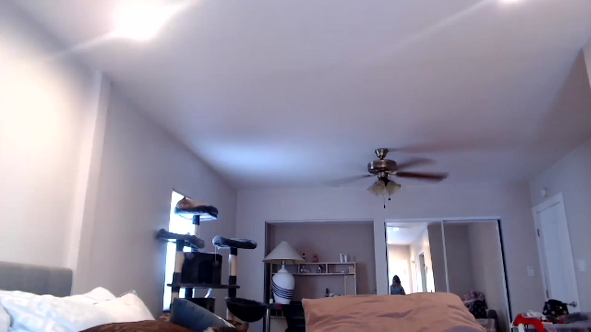 Gallery image thumbnail from Christy_Love's myfreecams stream on, 07/15/2024, 20:03 image 20 of 20